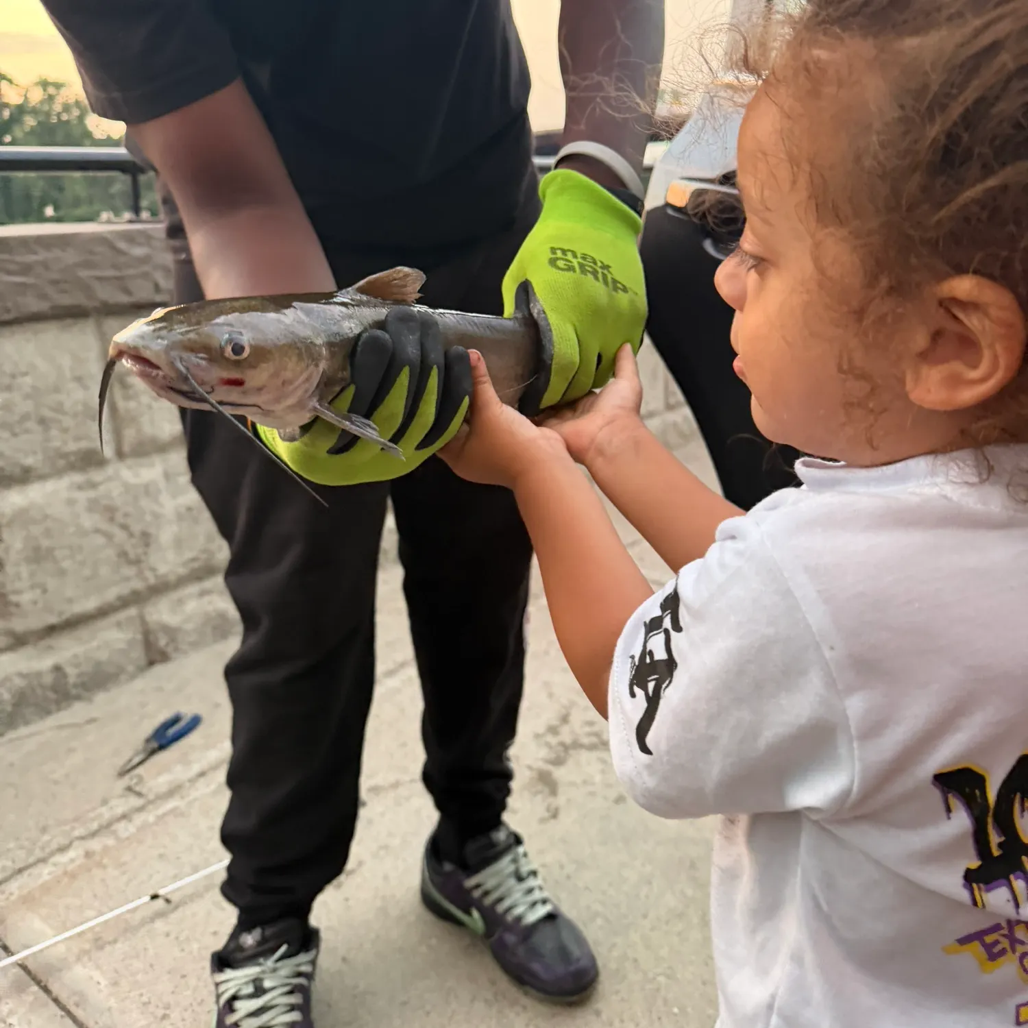 catch