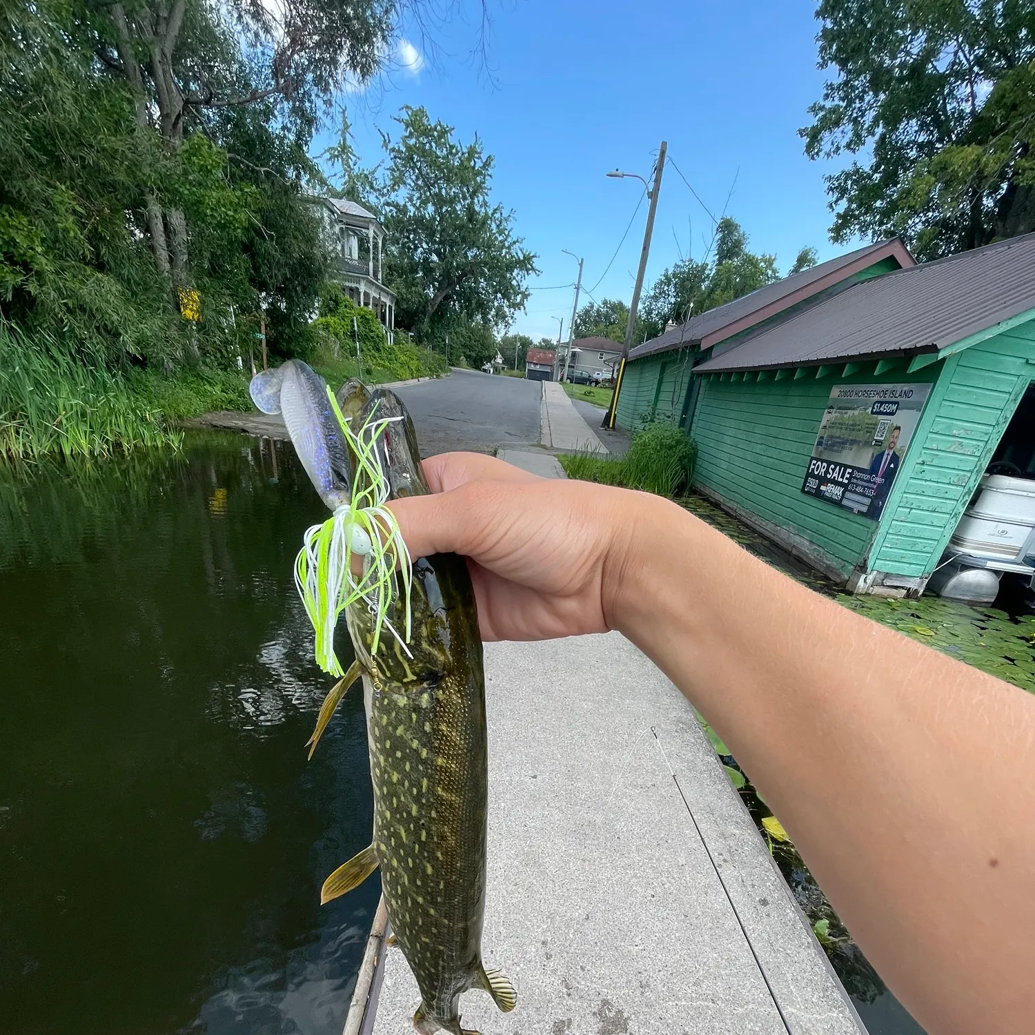 Northern pike caught on Fishbrain
