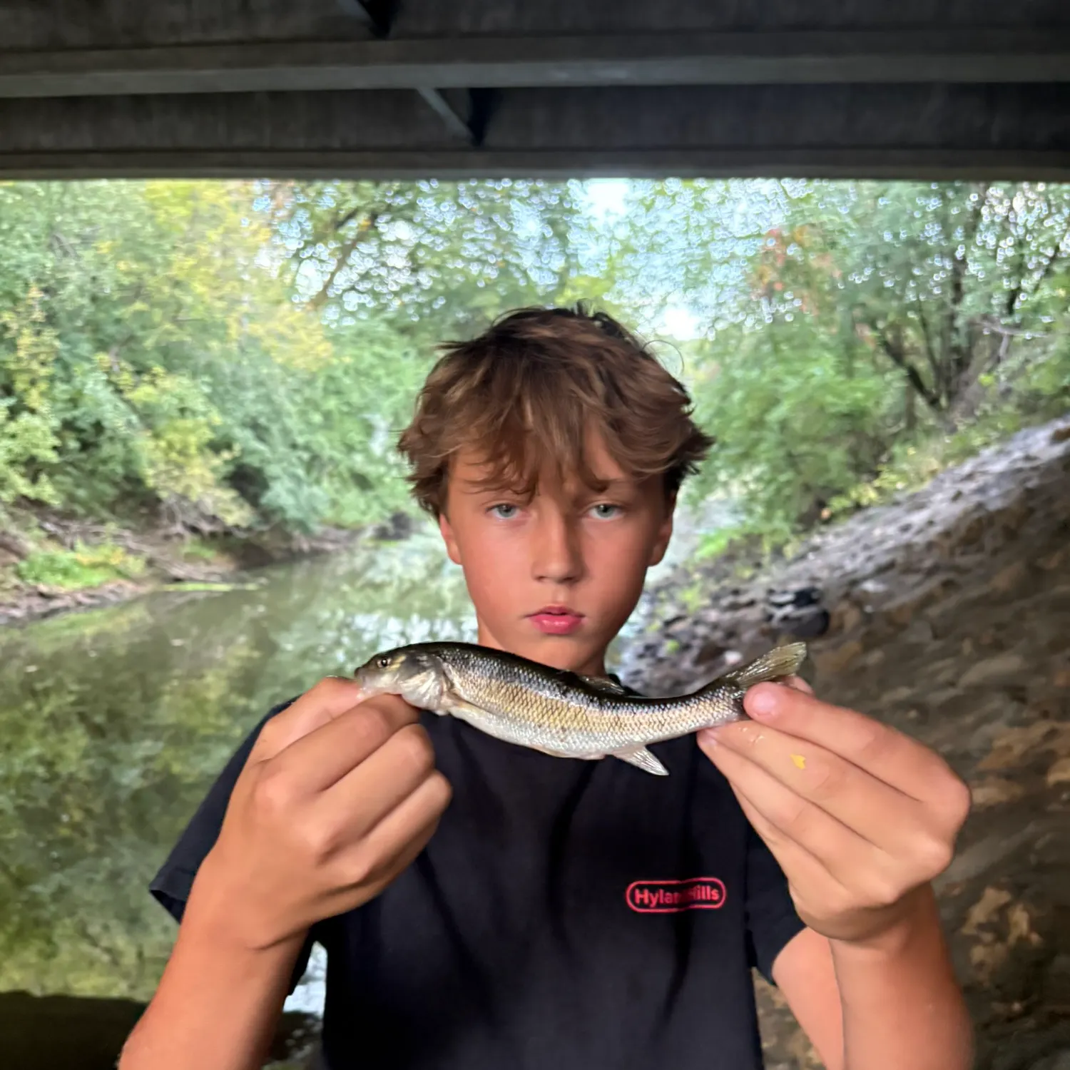 Creek chub caught on Fishbrain