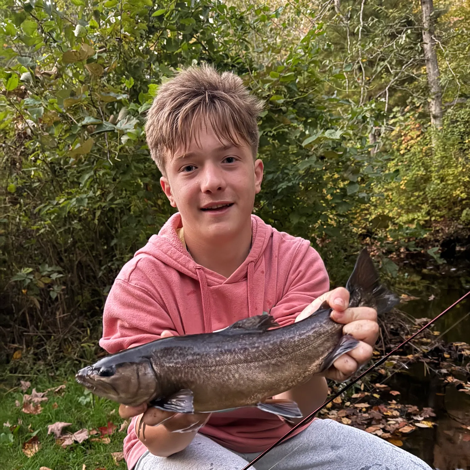 Tiger trout caught on Fishbrain