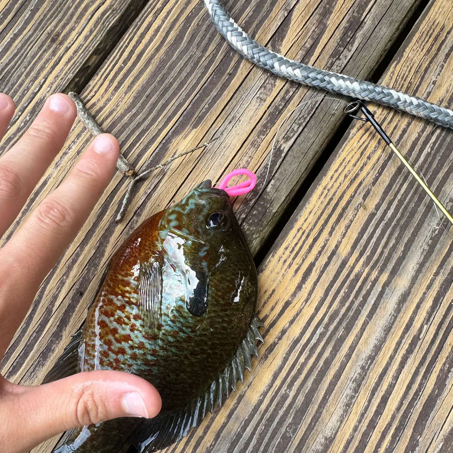 catch