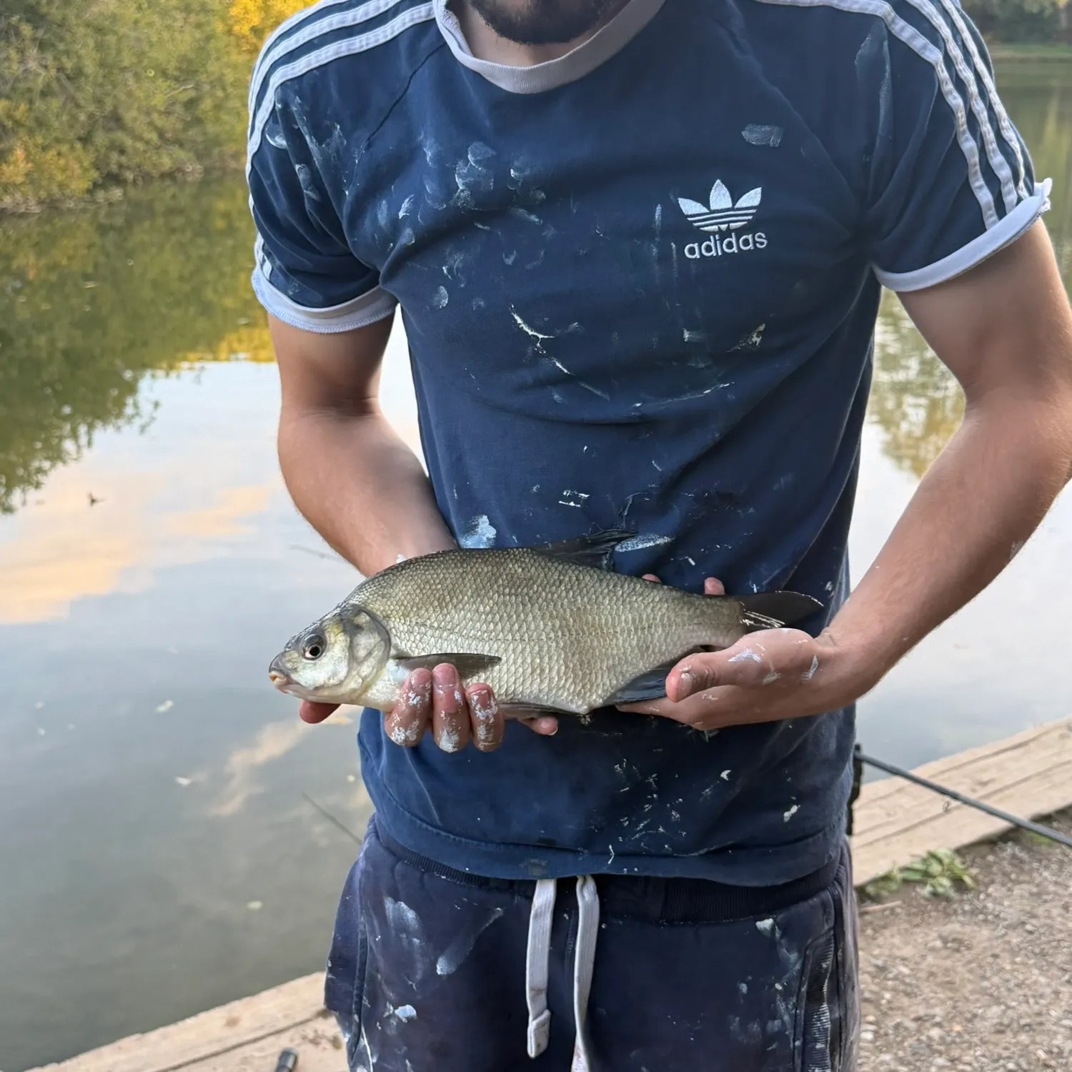 Common bream caught on Fishbrain