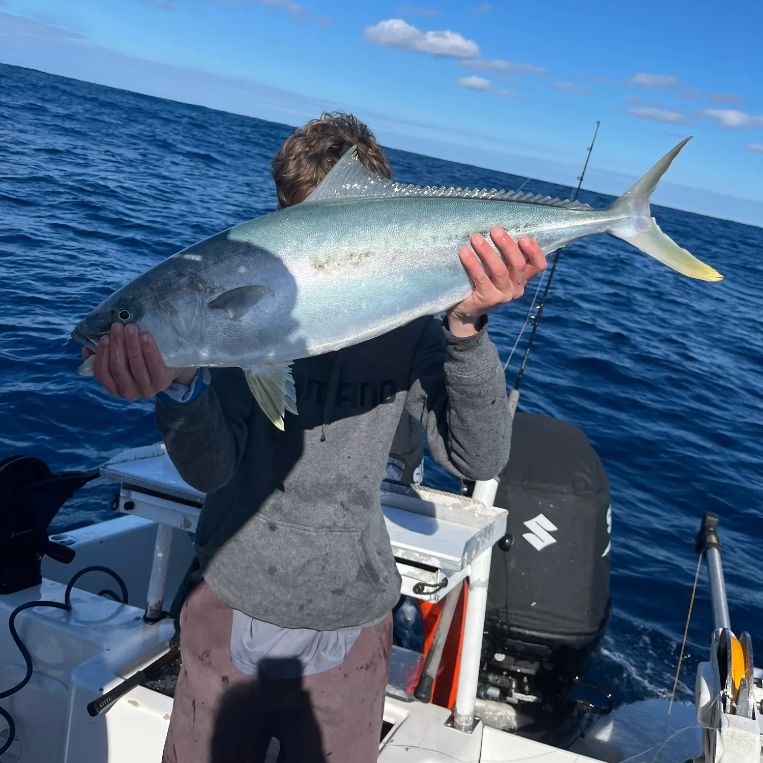 The most recent Southern yellowtail amberjack catches on Fishbrain
