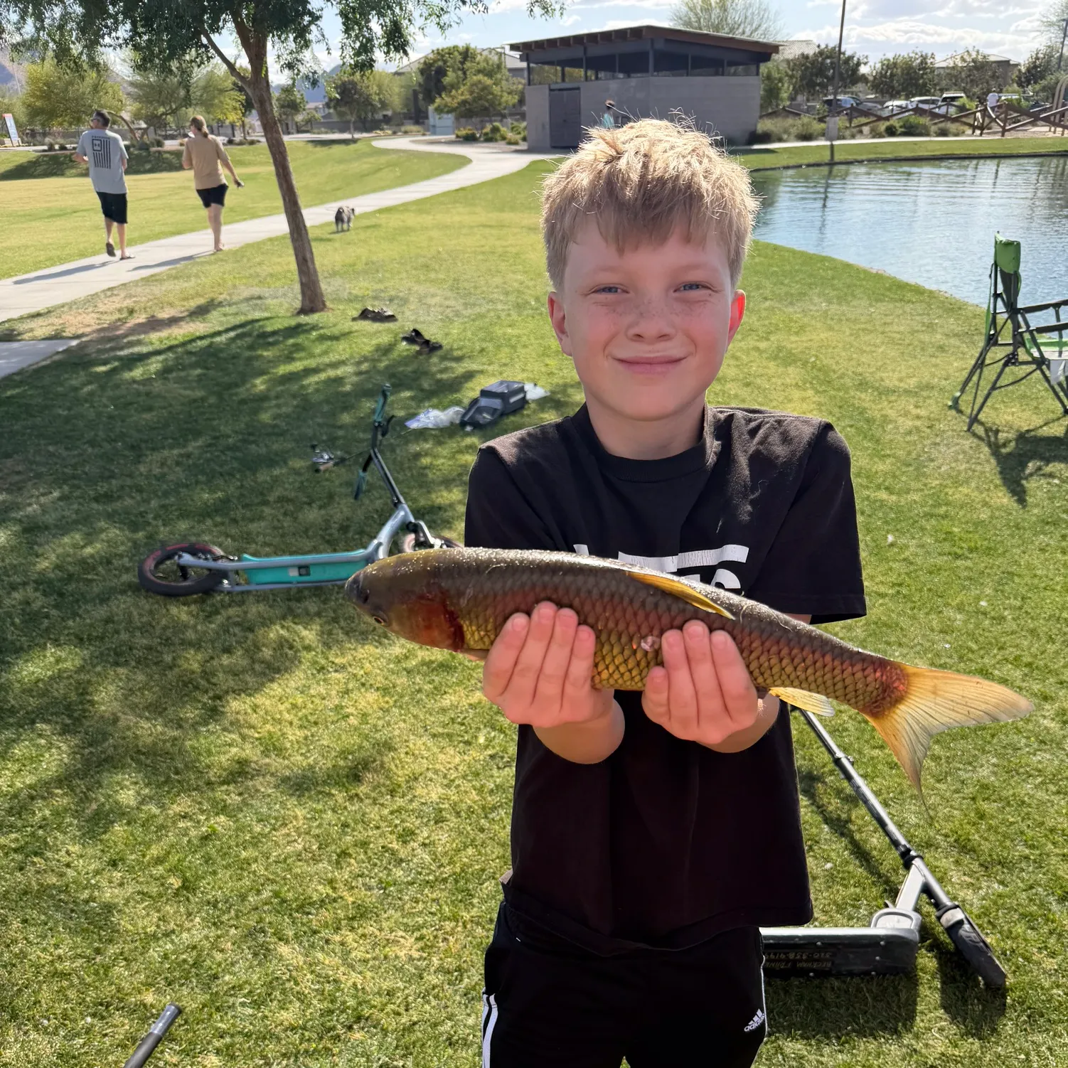 The most recent Grass carp catches on Fishbrain