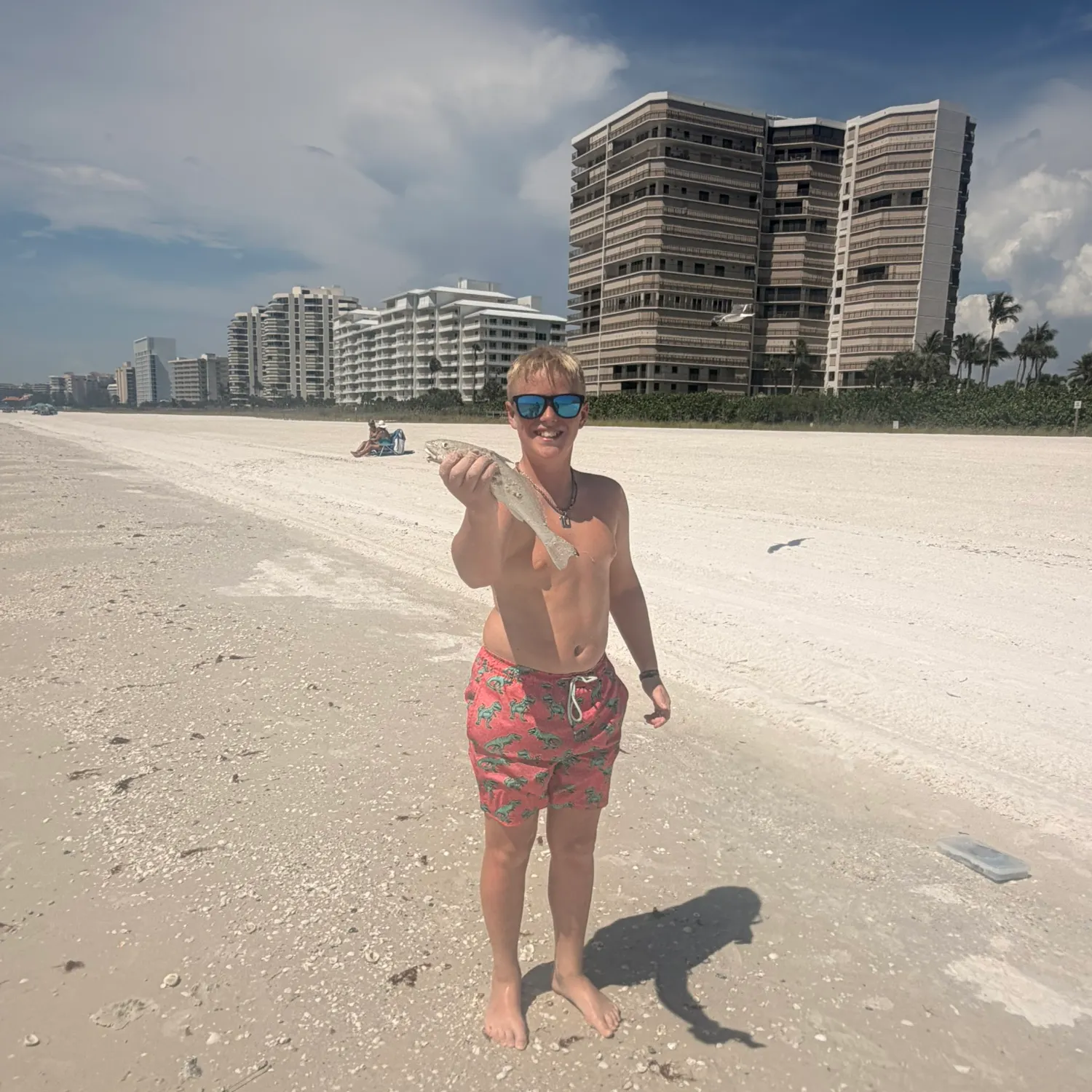 The most recent Spotted sucker catches on Fishbrain