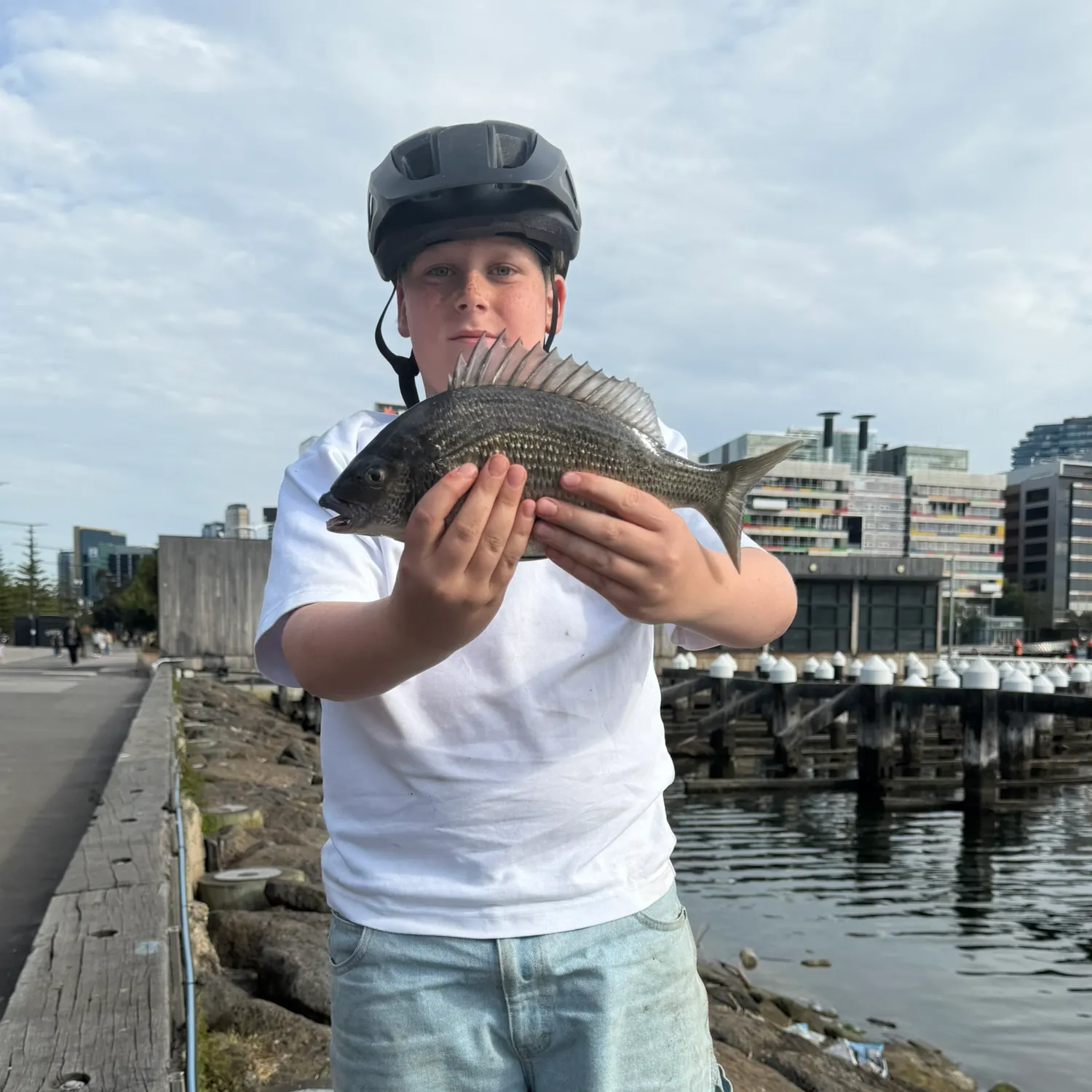 Southern black bream caught on Fishbrain