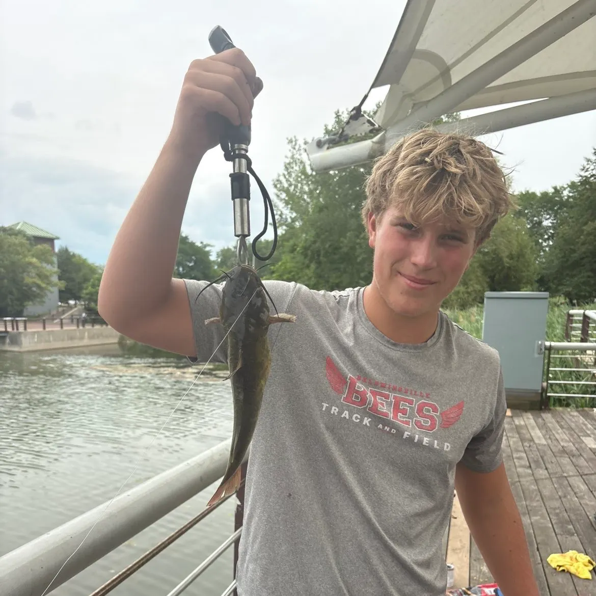 Channel catfish caught on Fishbrain