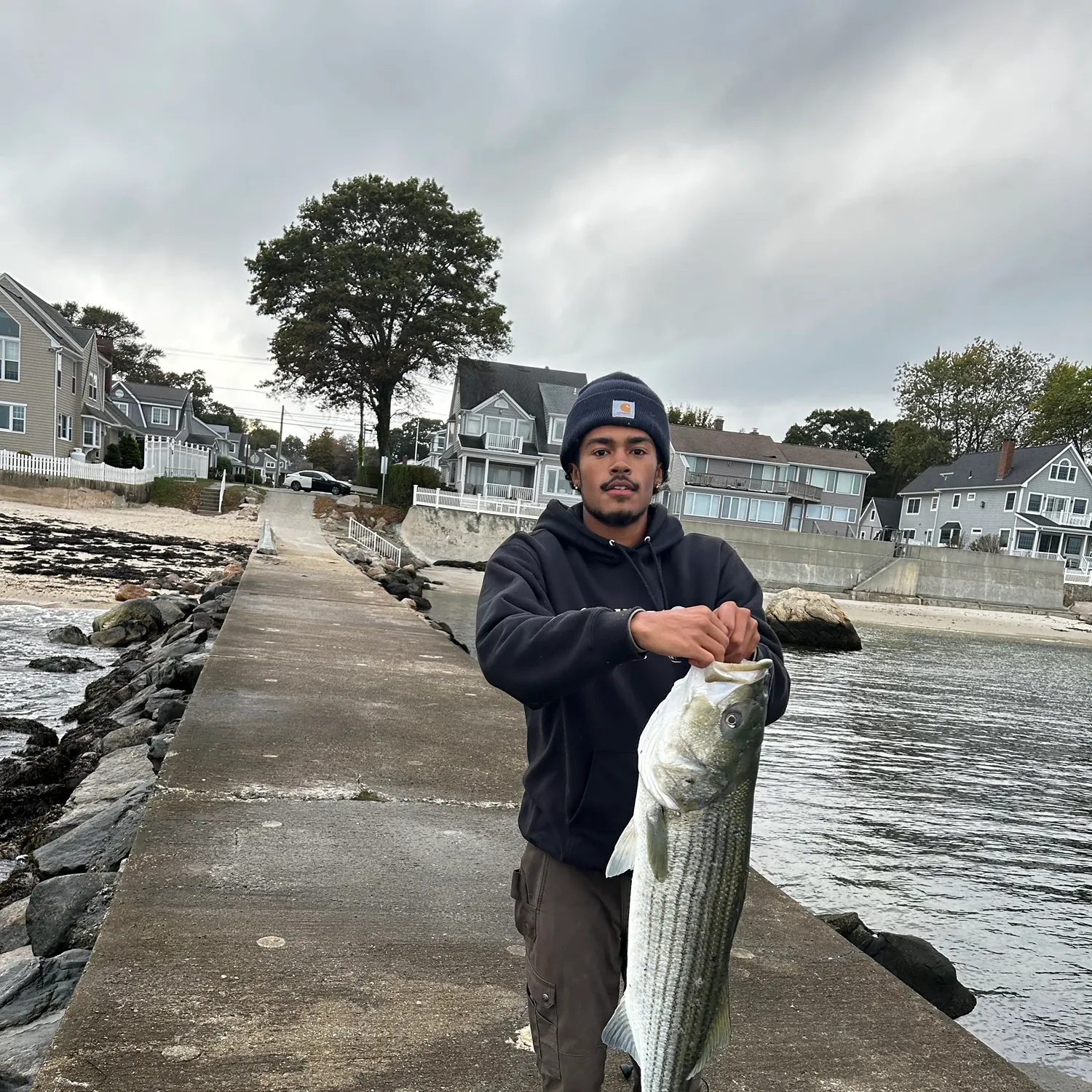Striped bass caught on Fishbrain