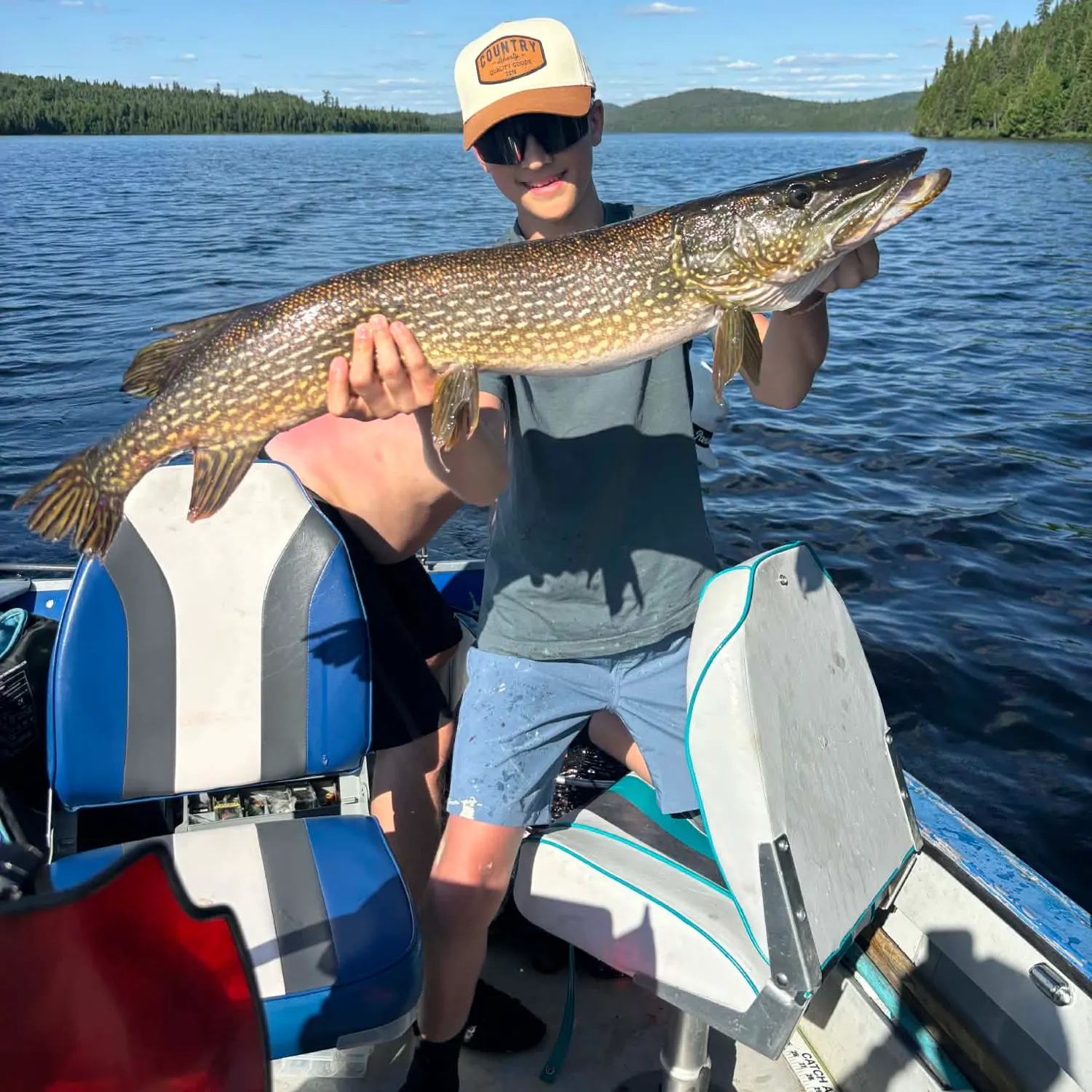 Northern pike caught on Fishbrain