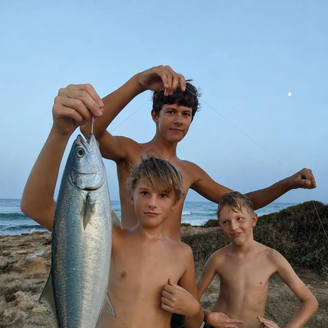 Golden grey mullet caught on Fishbrain