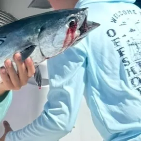 The most recent Little tunny catches on Fishbrain