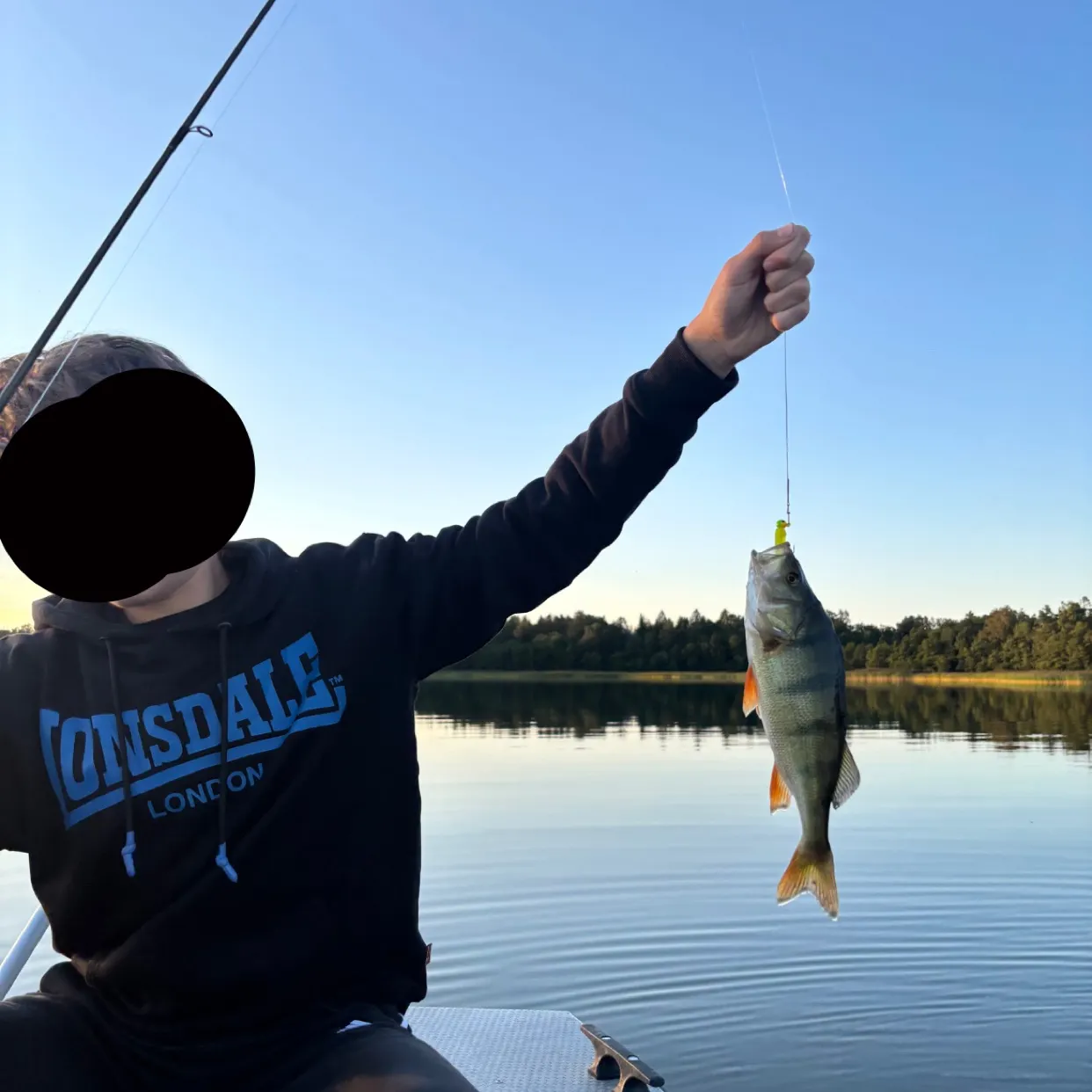 European perch caught on Fishbrain