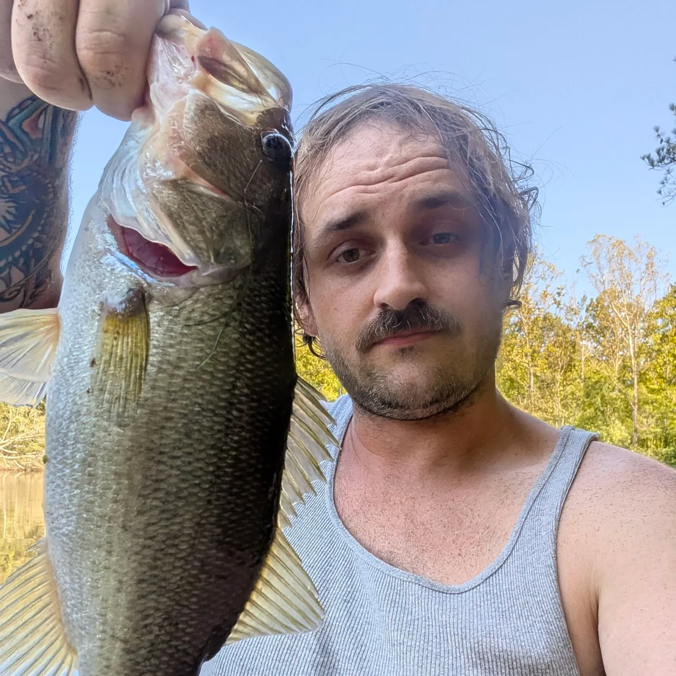 Largemouth bass caught on Fishbrain