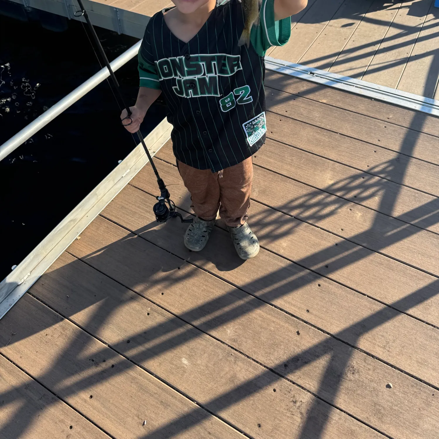 Bluegill caught on Fishbrain