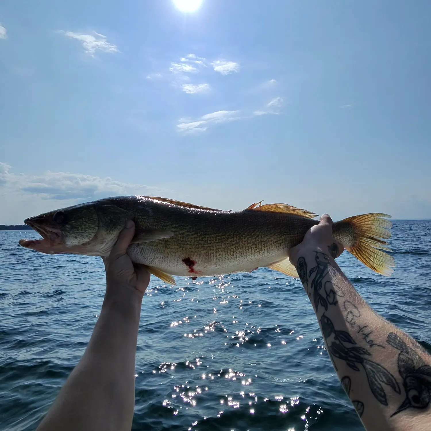 catch