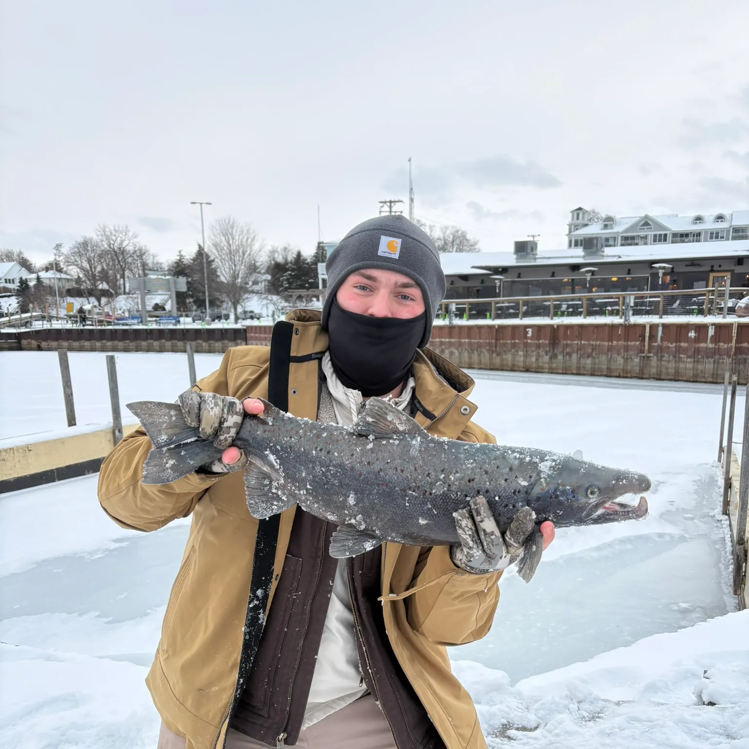 The most recent Atlantic salmon catches on Fishbrain