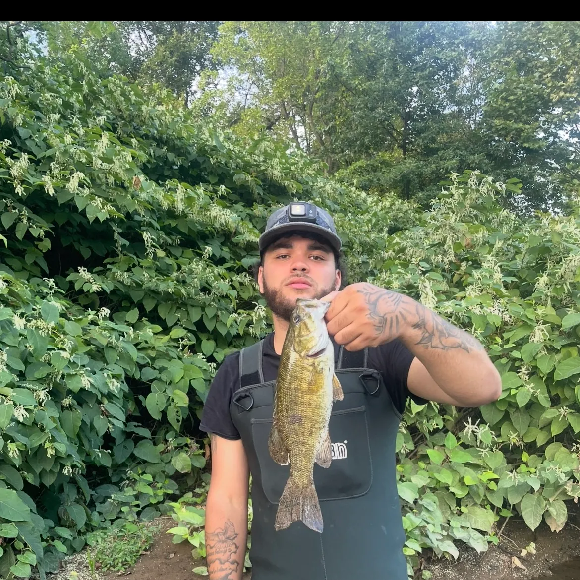 Smallmouth bass caught on Fishbrain
