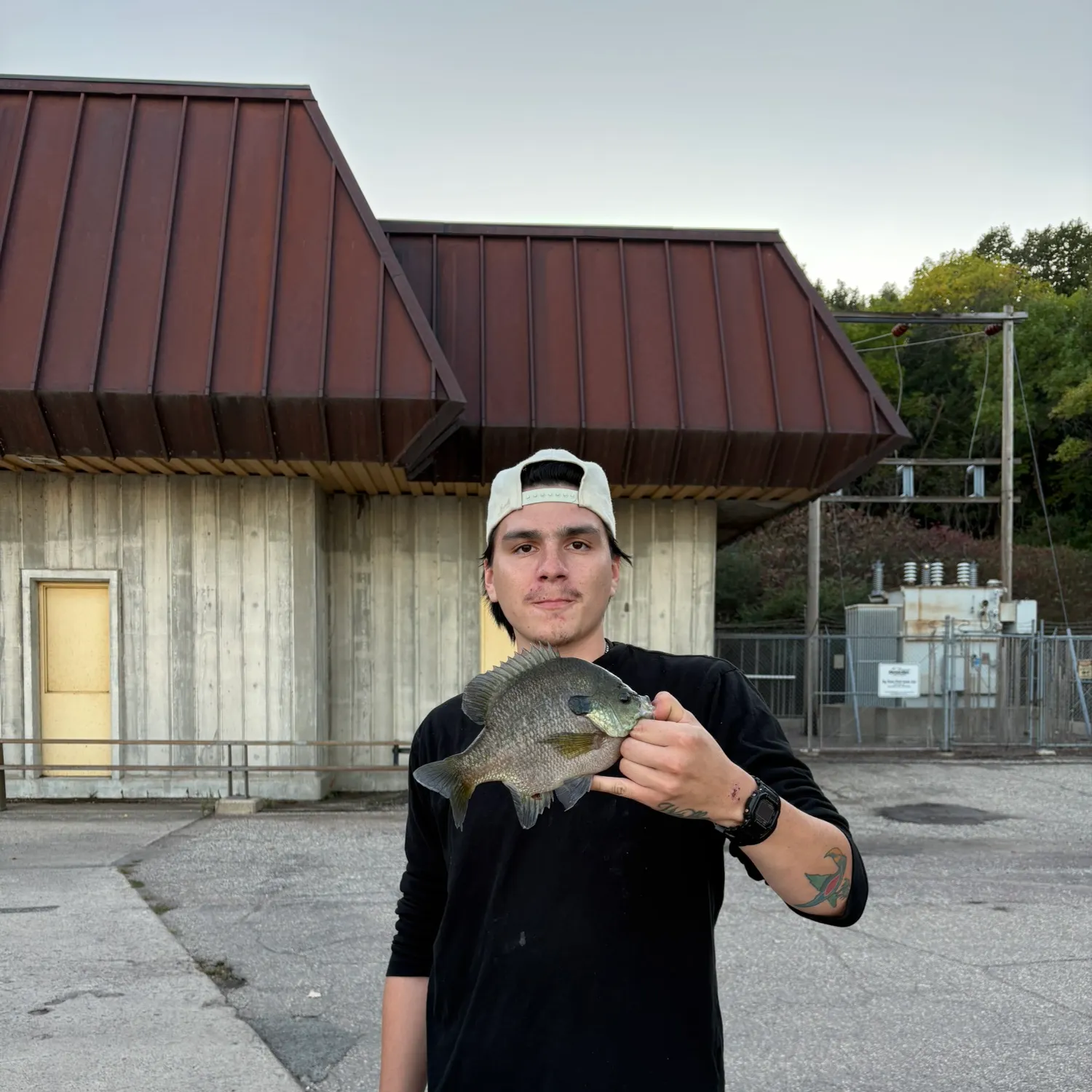 Bluegill caught on Fishbrain