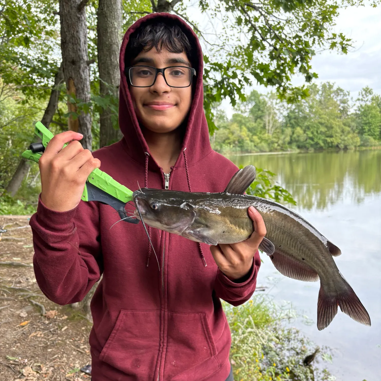 Channel catfish caught on Fishbrain
