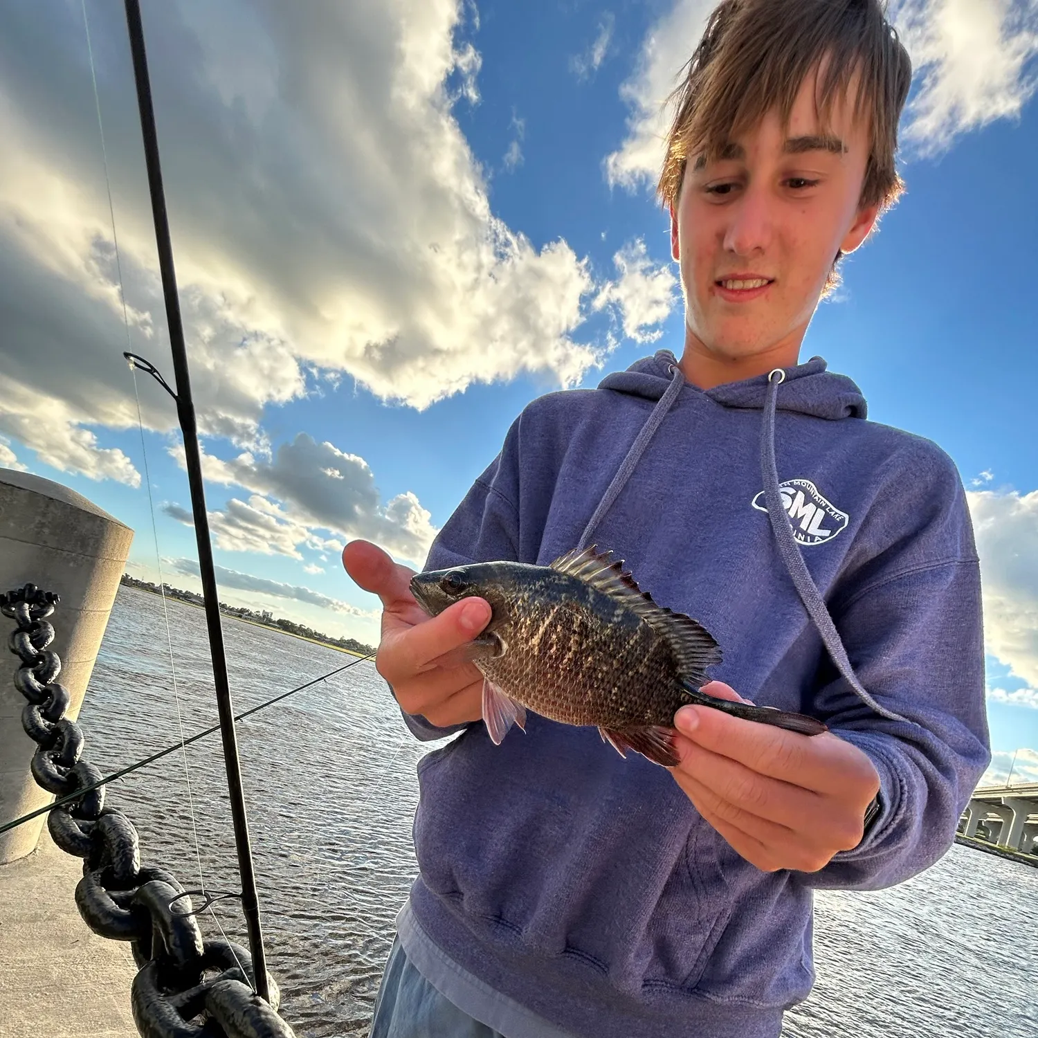 Mangrove snapper caught on Fishbrain
