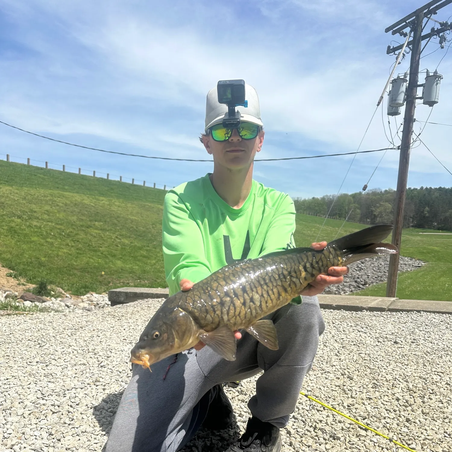 The most recent Mirror carp catches on Fishbrain
