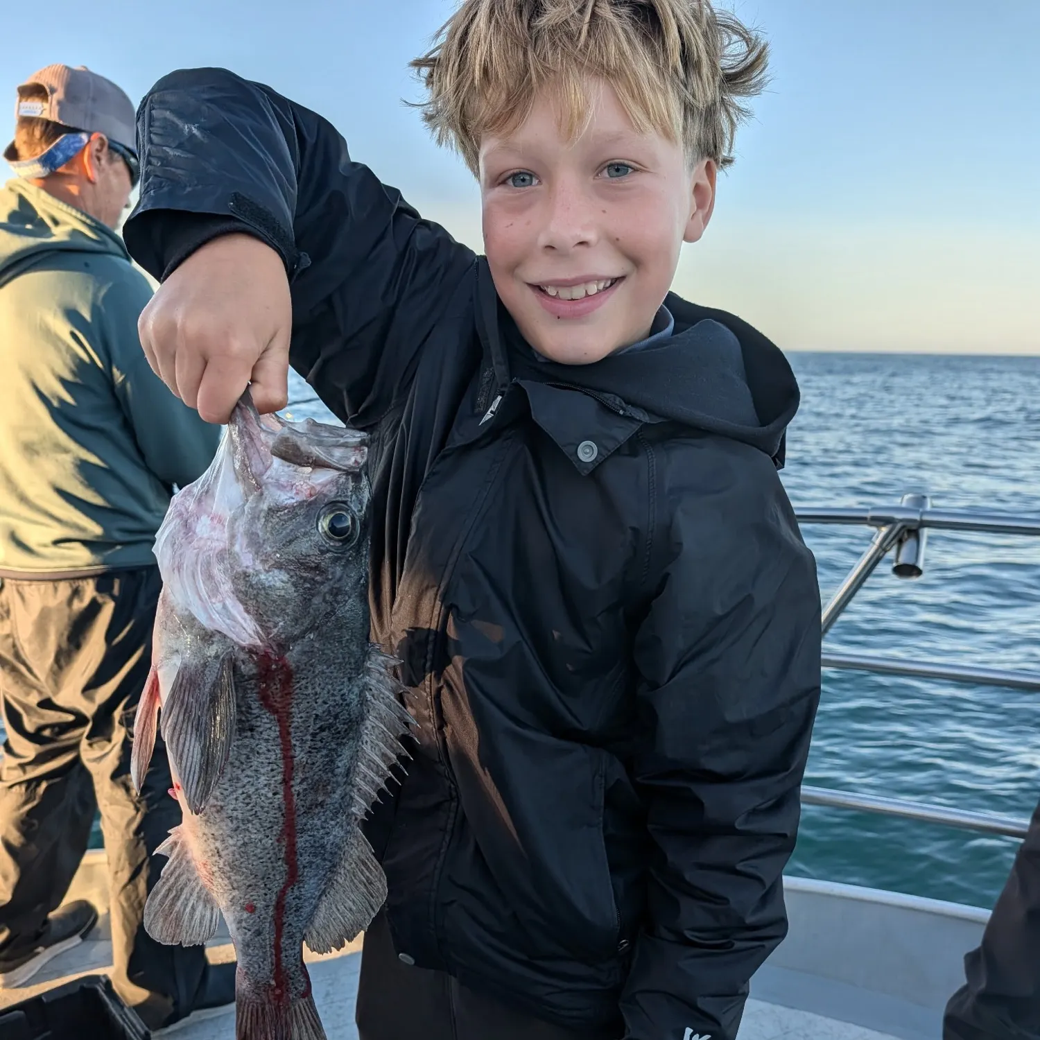 Black rockfish caught on Fishbrain