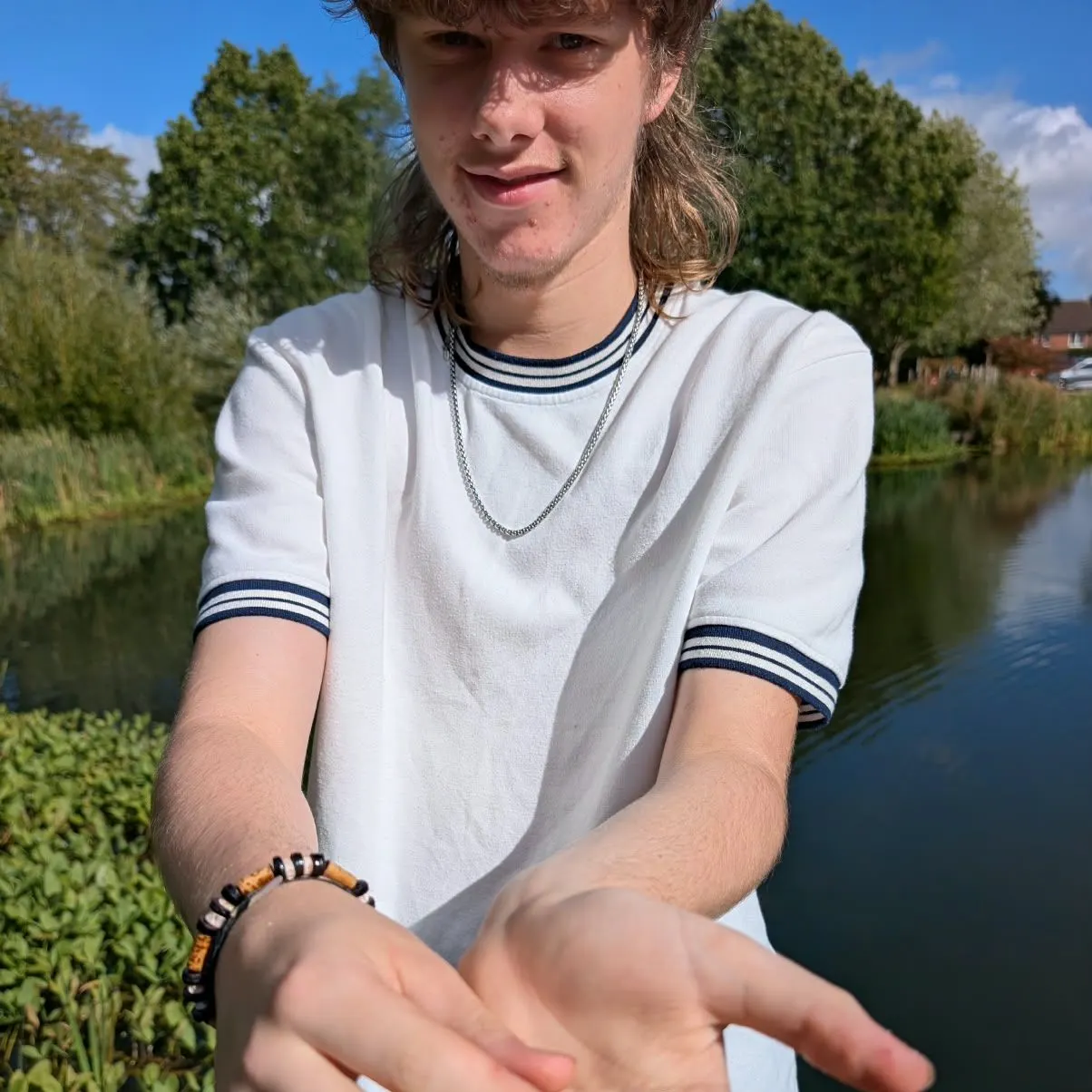 Common roach caught on Fishbrain