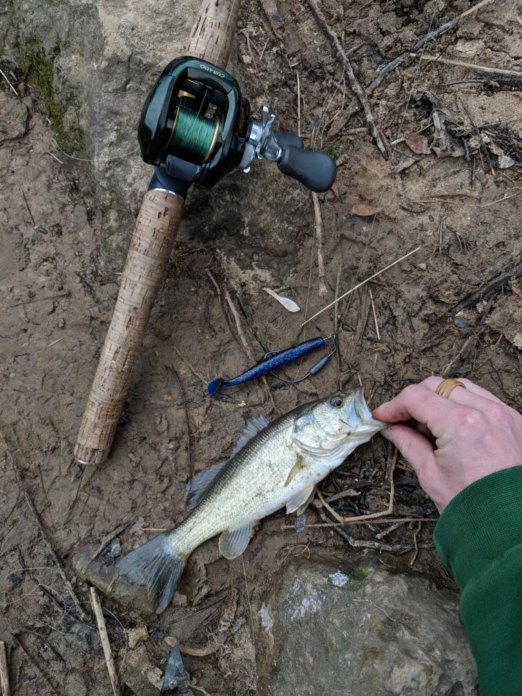 Post image from savagewoodrow