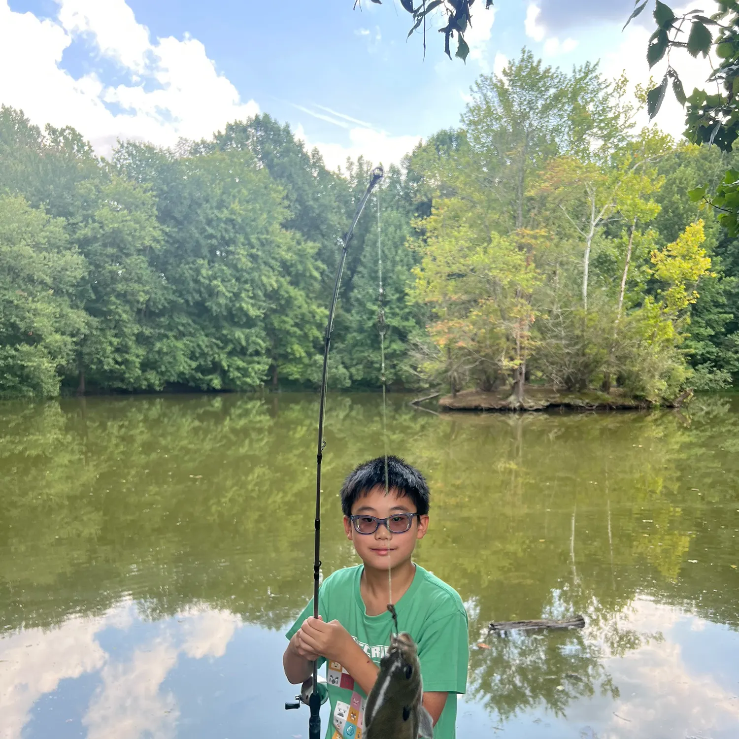 Bluegill caught on Fishbrain