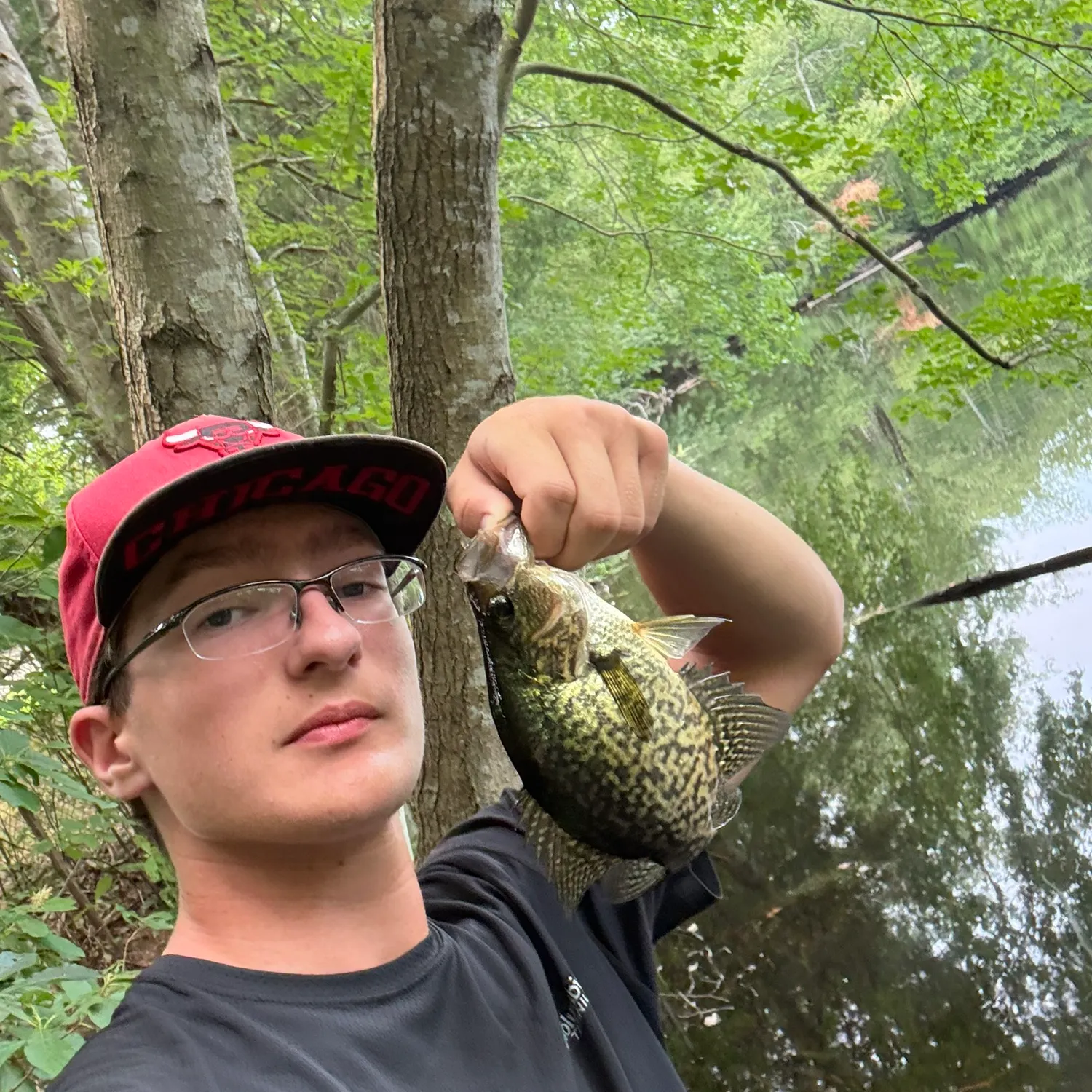 Black crappie caught on Fishbrain