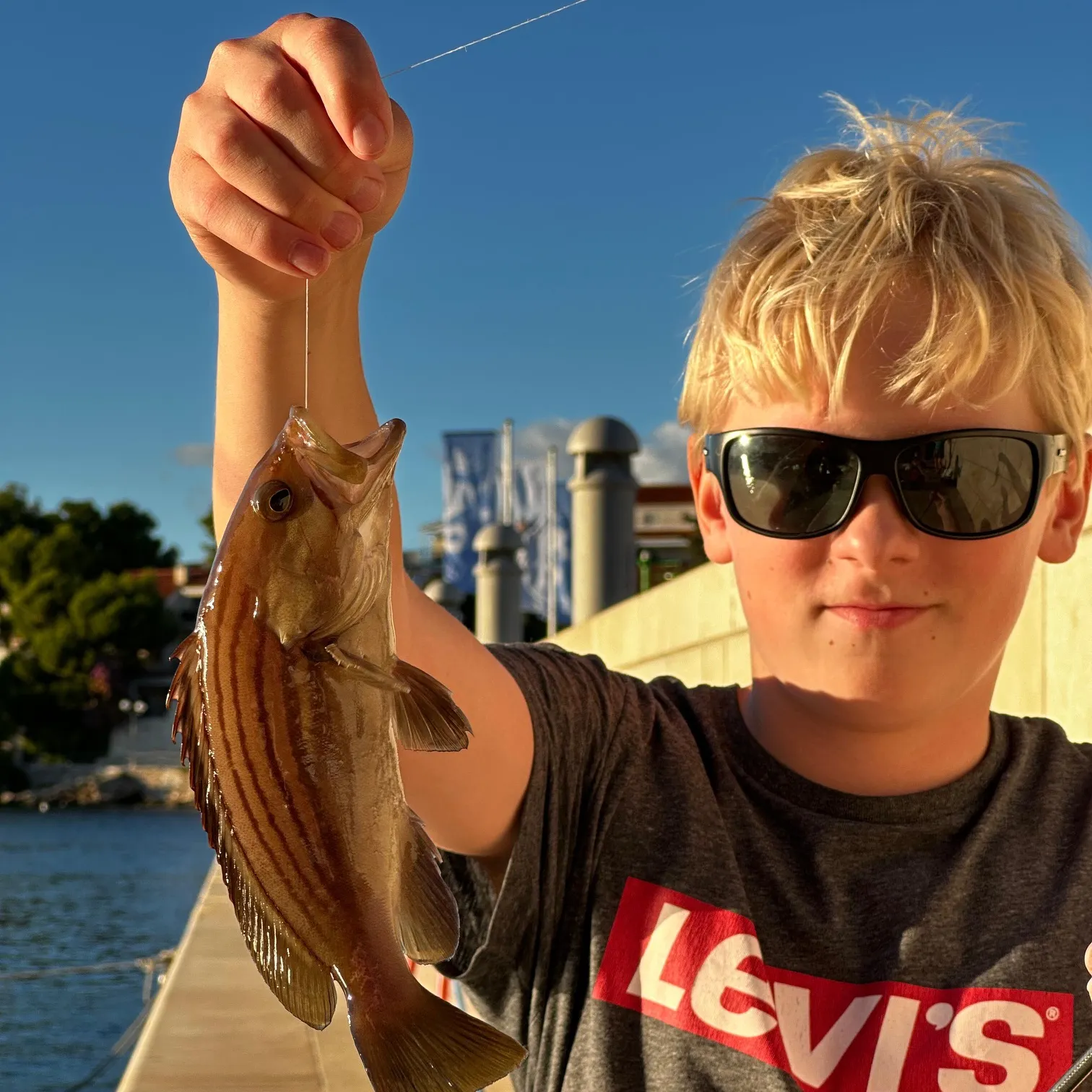 The most recent Dusky grouper catches on Fishbrain