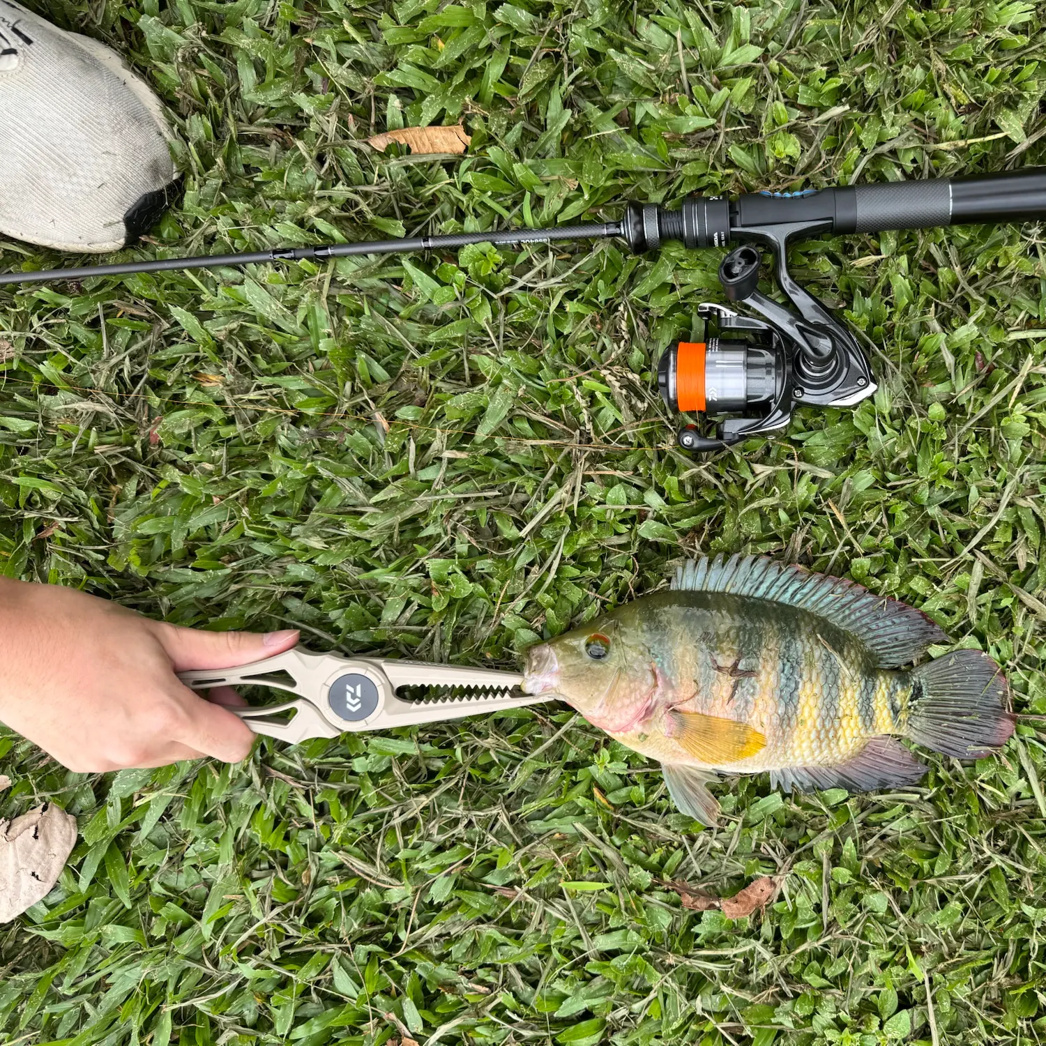 catch