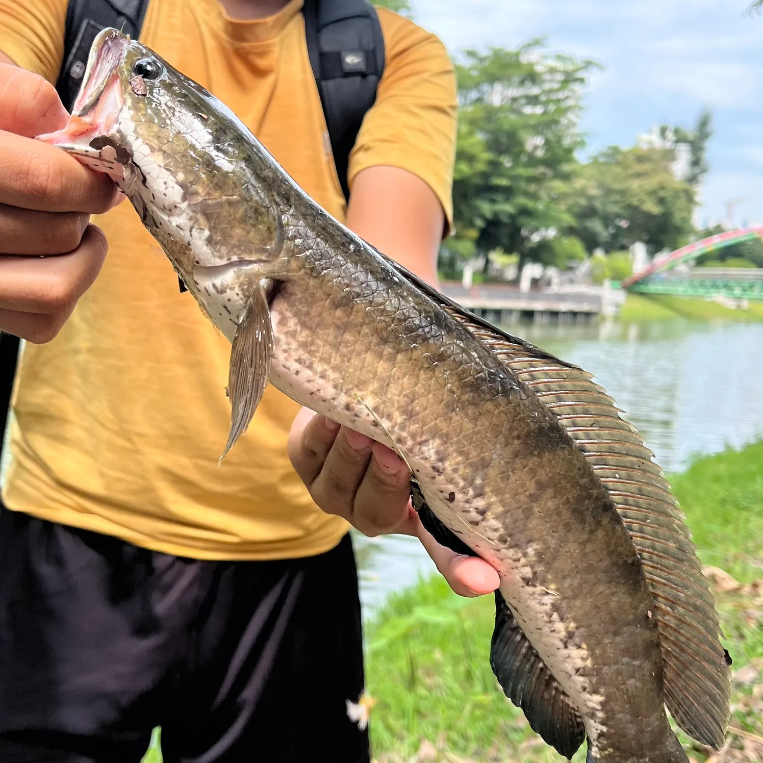 catch