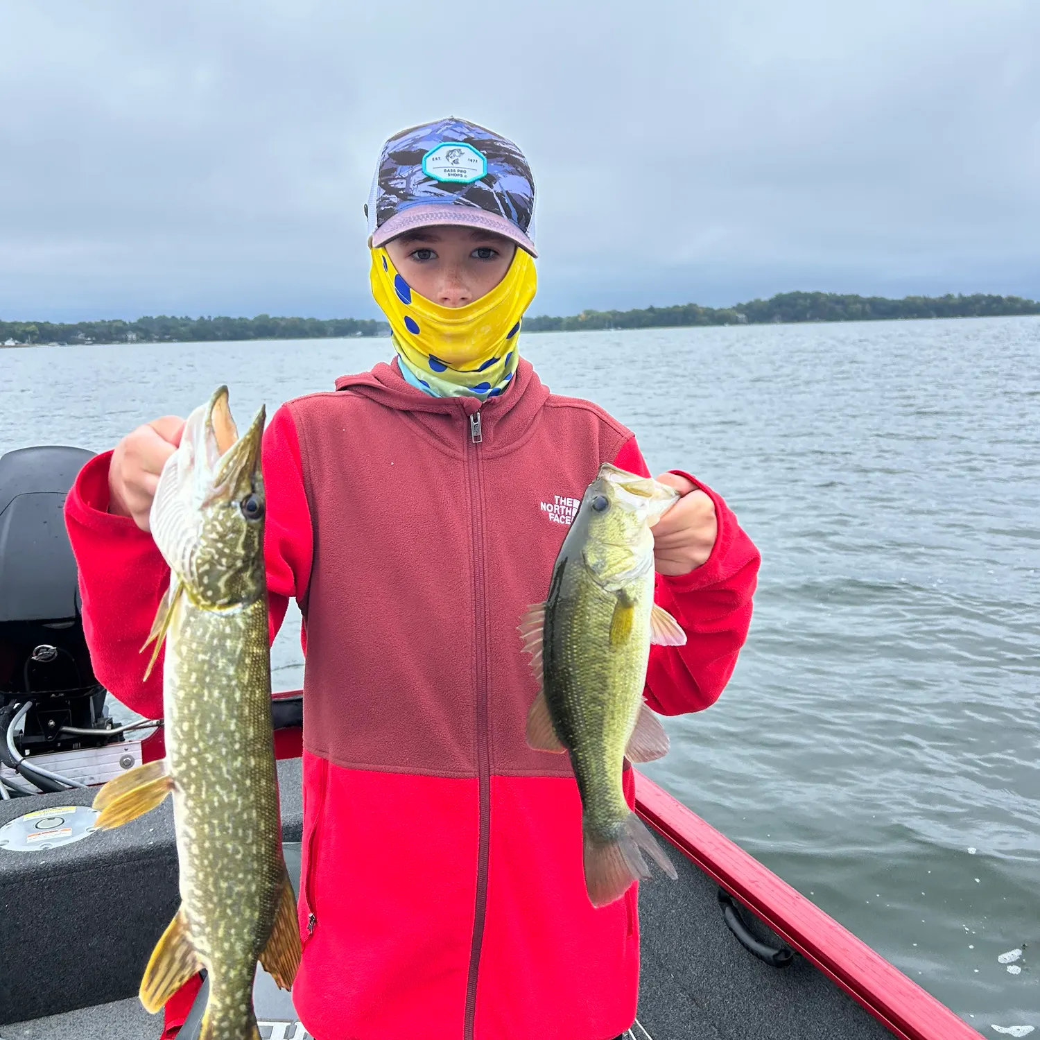 Northern pike caught on Fishbrain