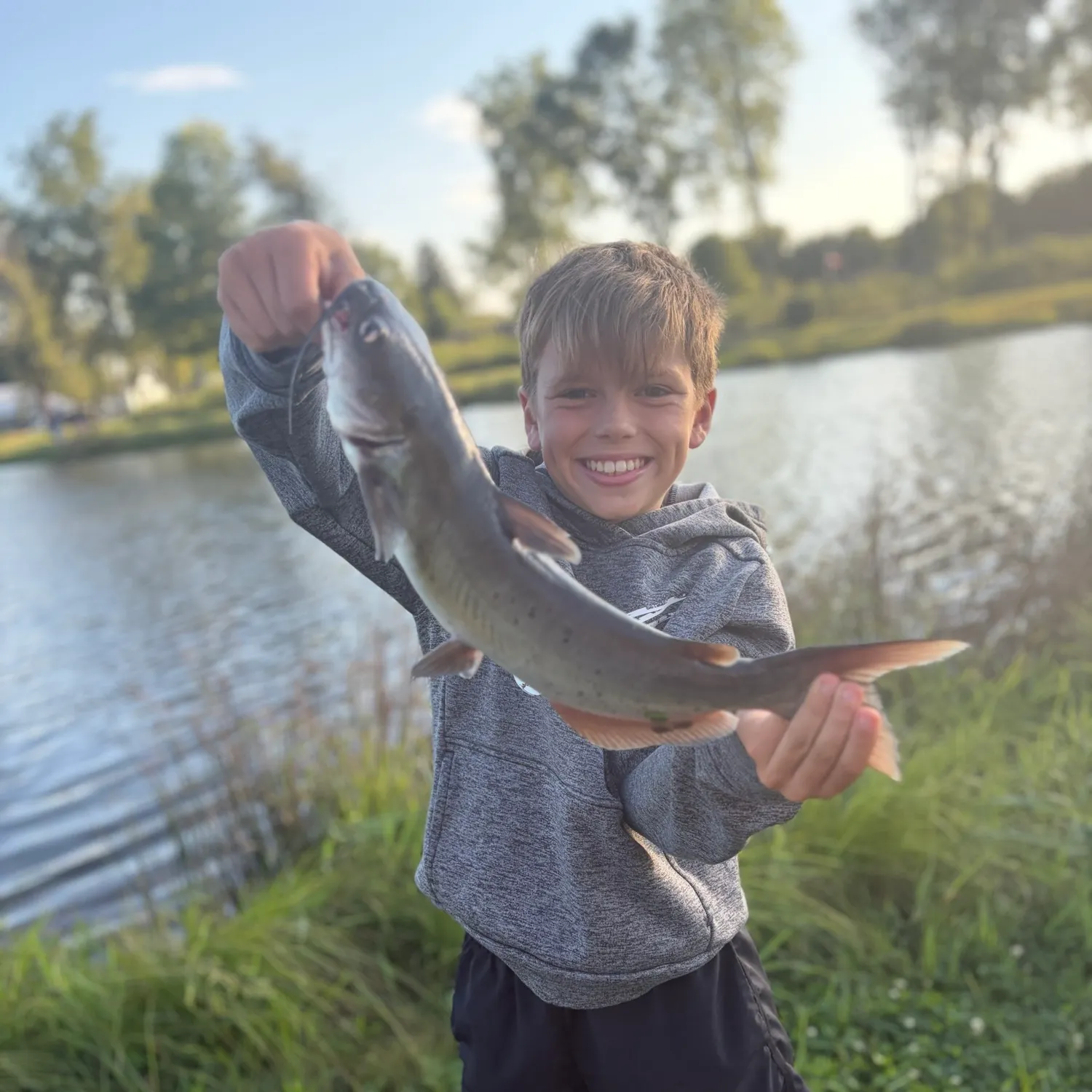 Channel catfish caught on Fishbrain