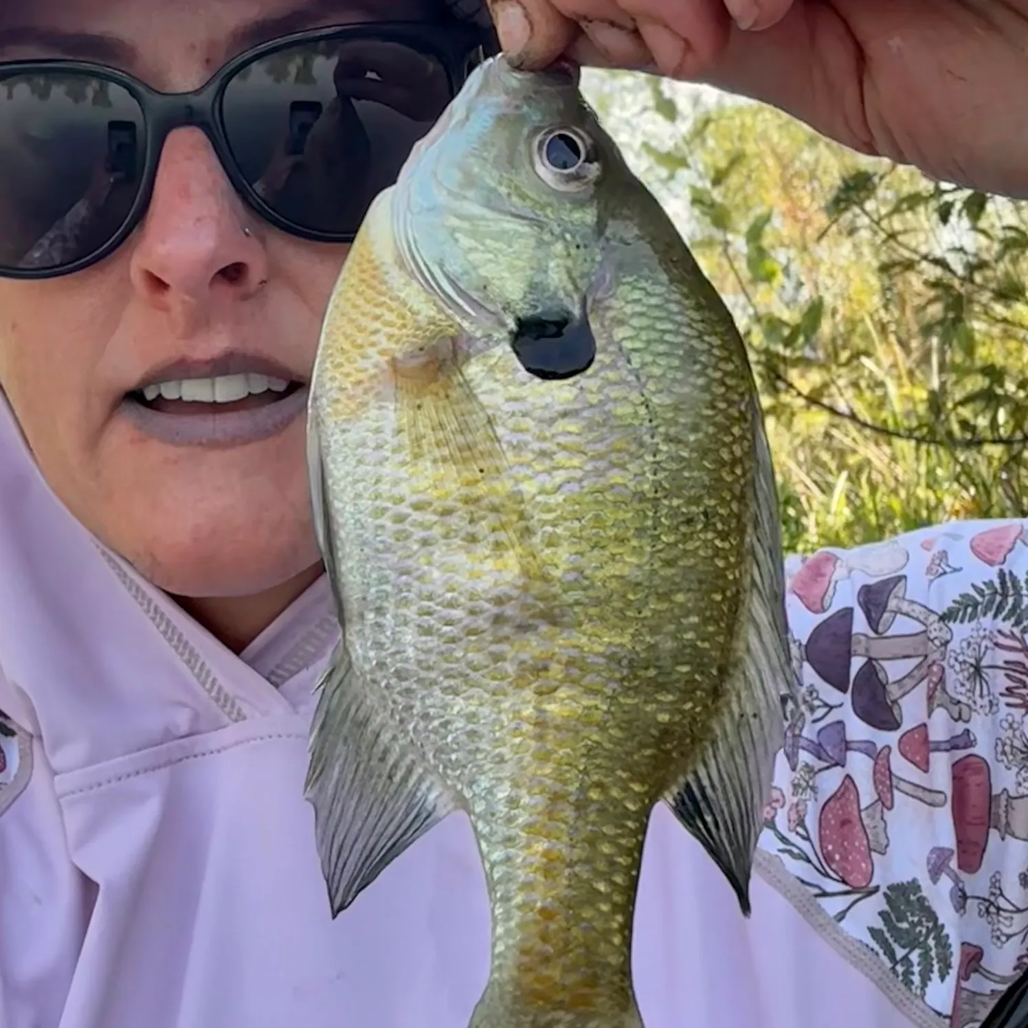 Bluegill caught on Fishbrain