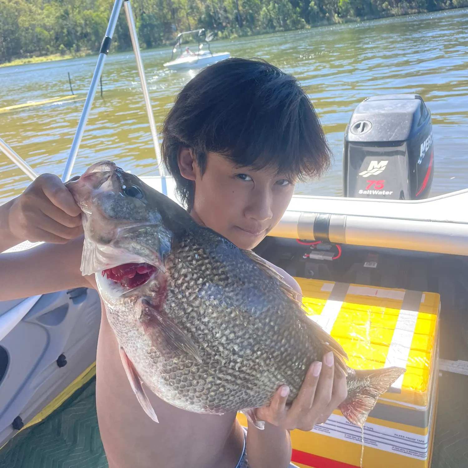 The most recent Australian bass catches on Fishbrain