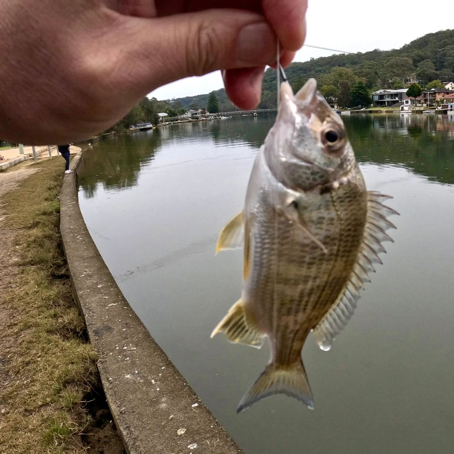 catch