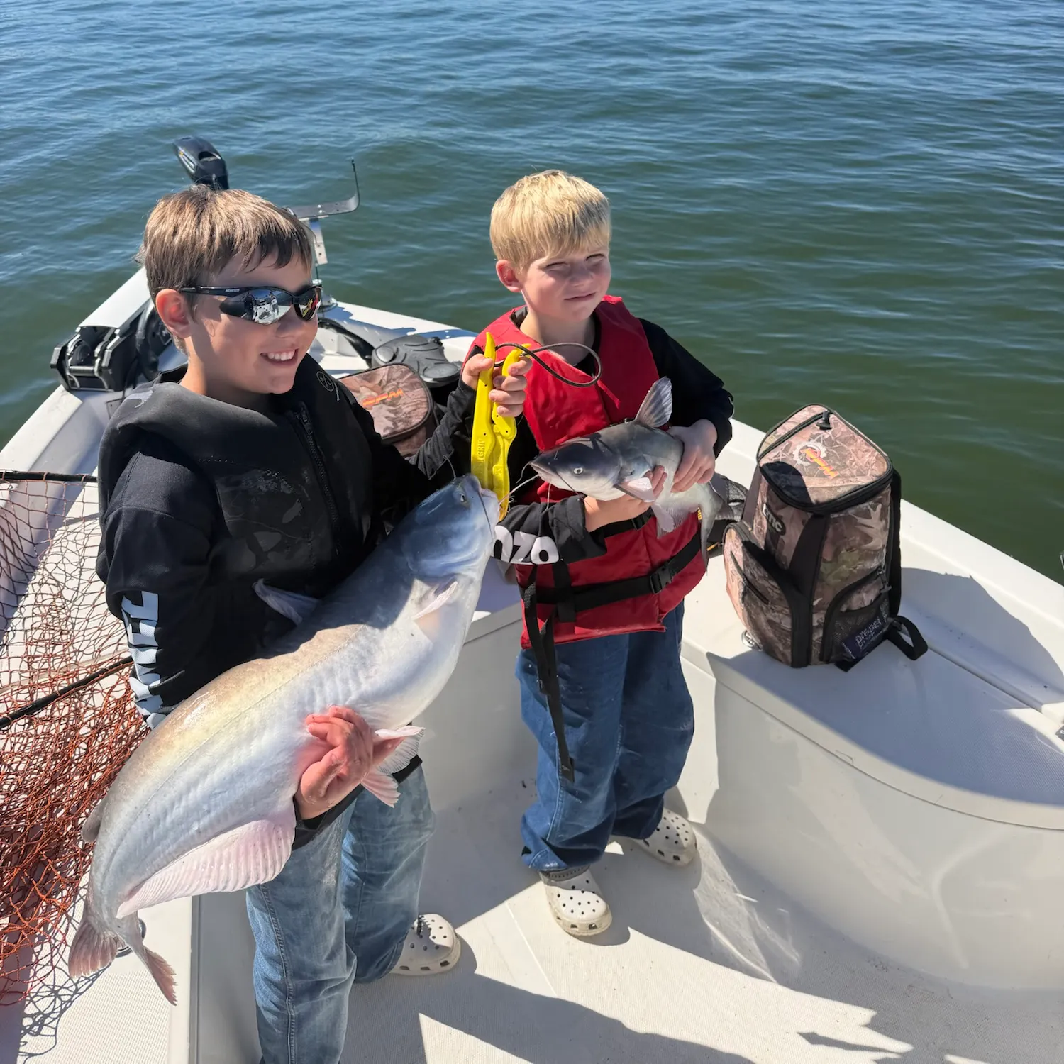 Blue catfish caught on Fishbrain