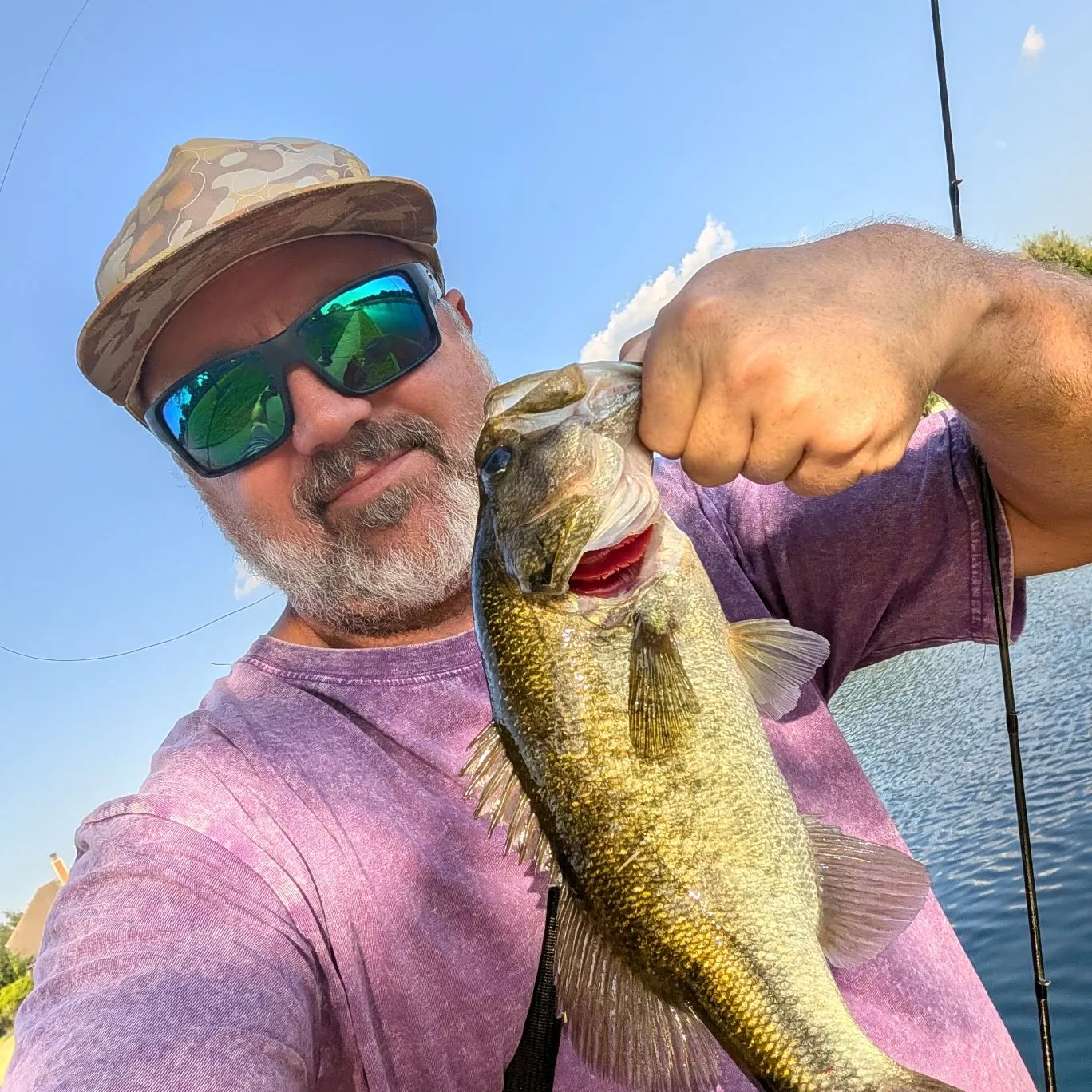 Largemouth bass caught on Fishbrain