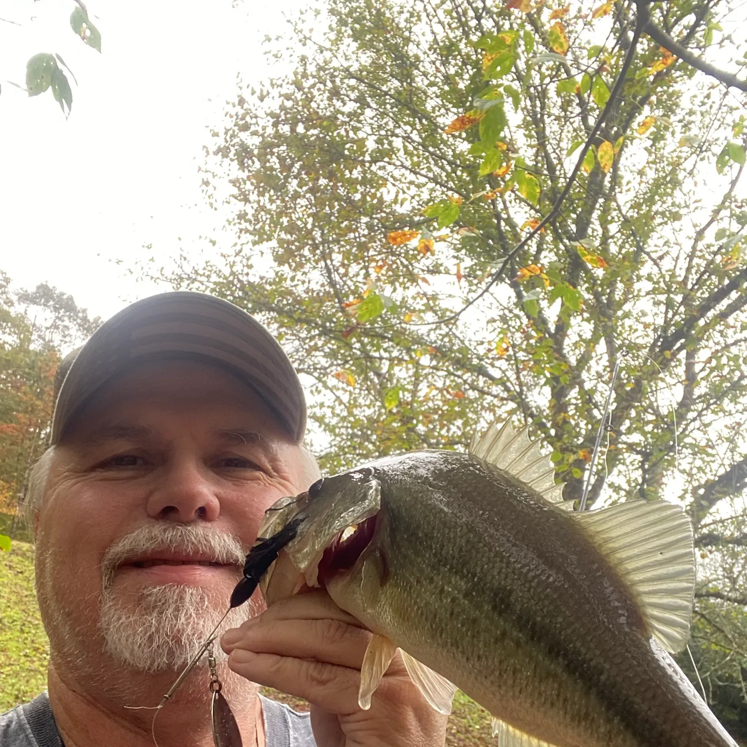 Largemouth bass caught on Fishbrain
