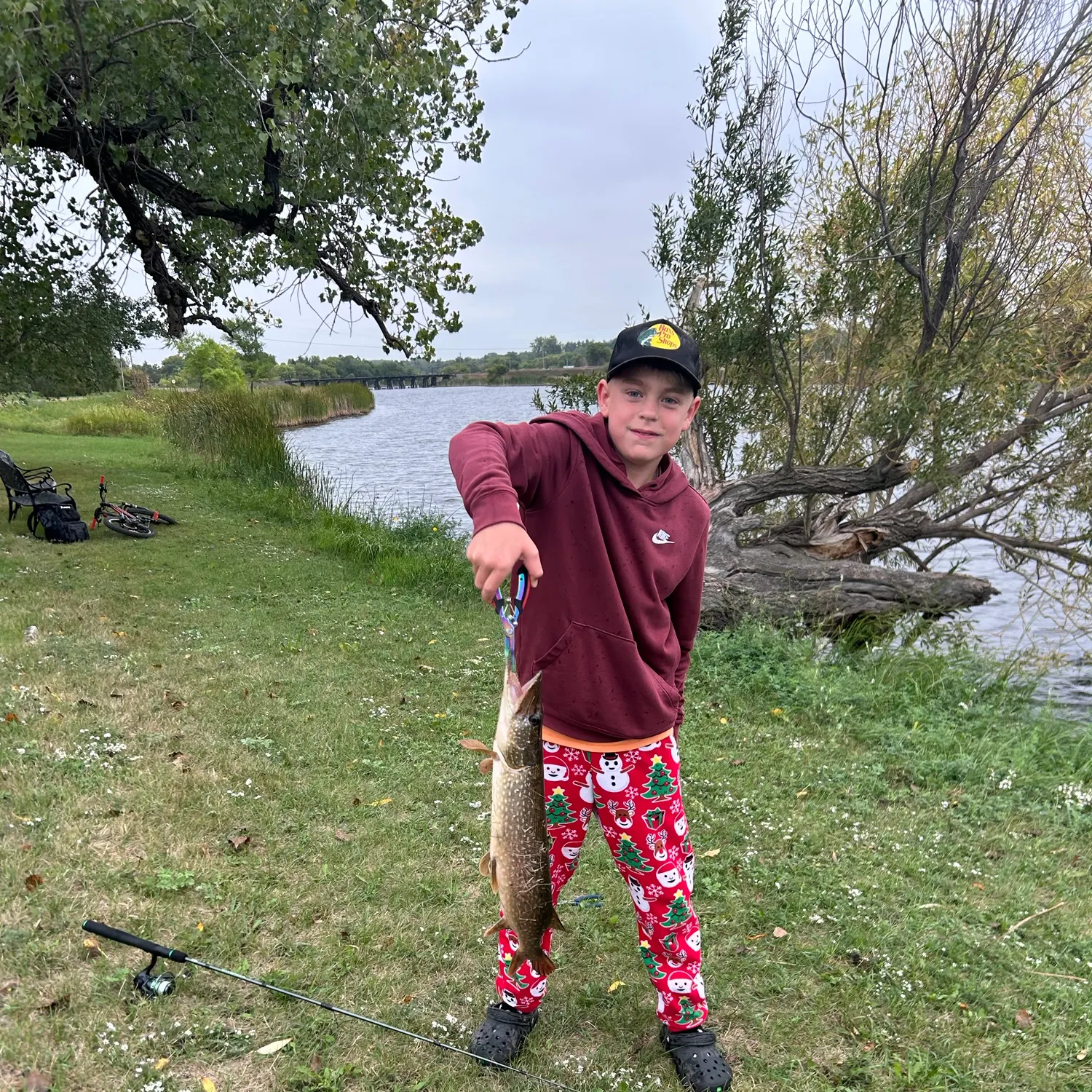 Northern pike caught on Fishbrain