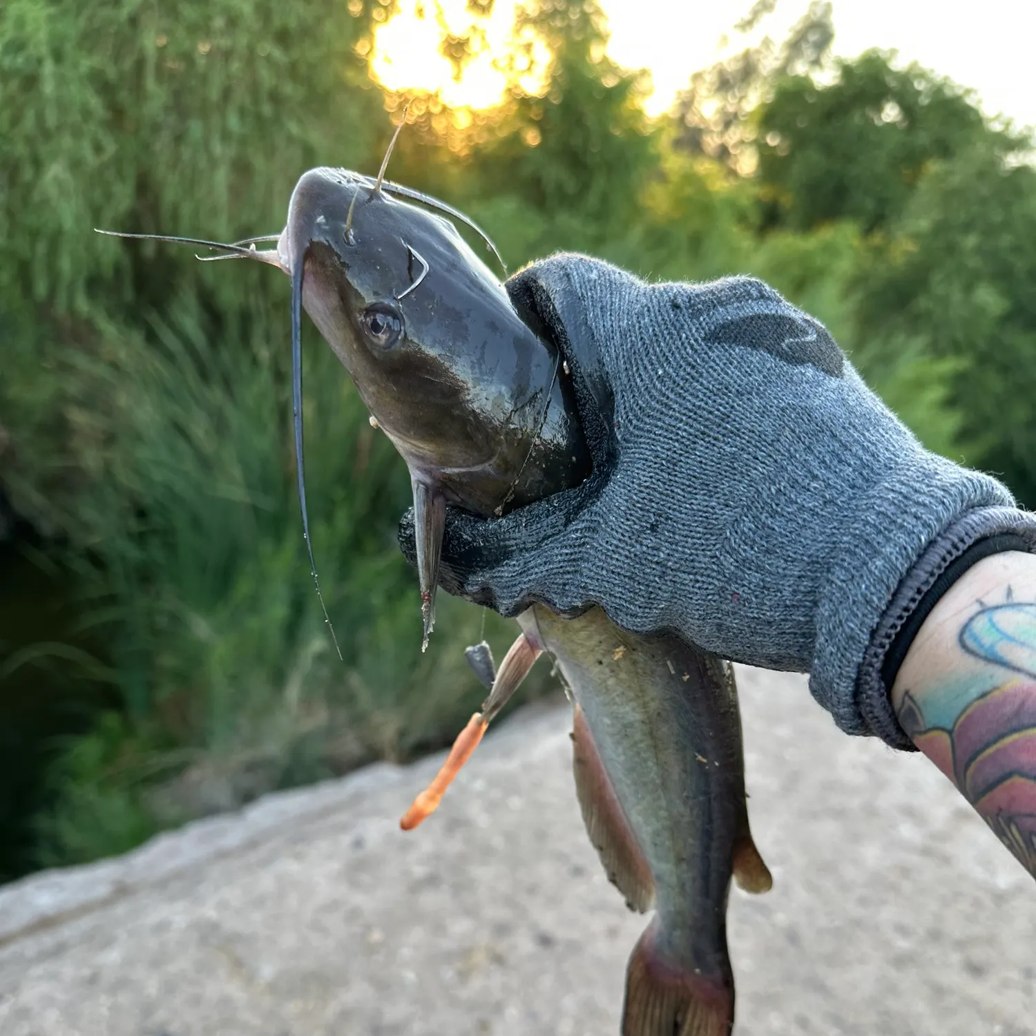 catch