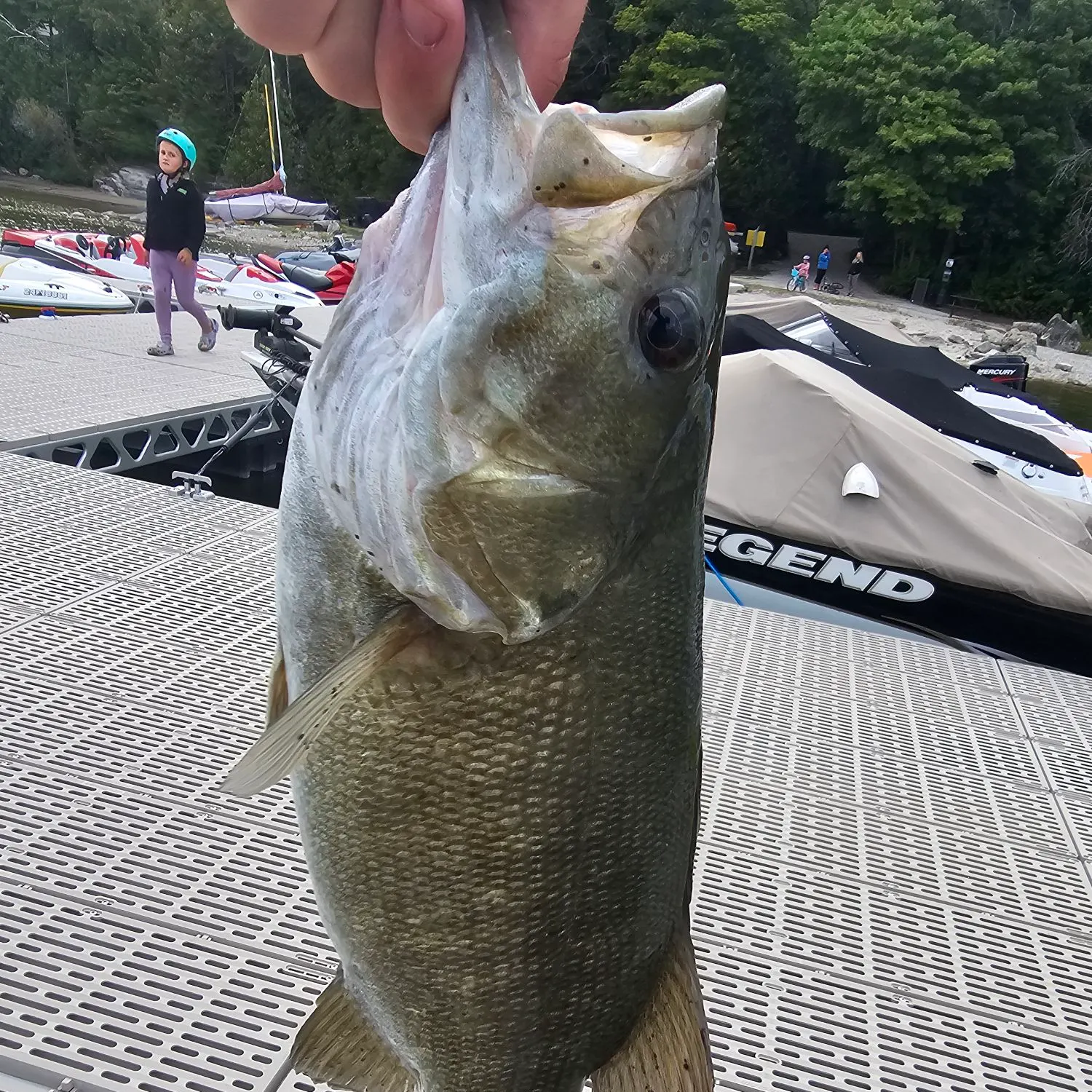 Smallmouth bass caught on Fishbrain