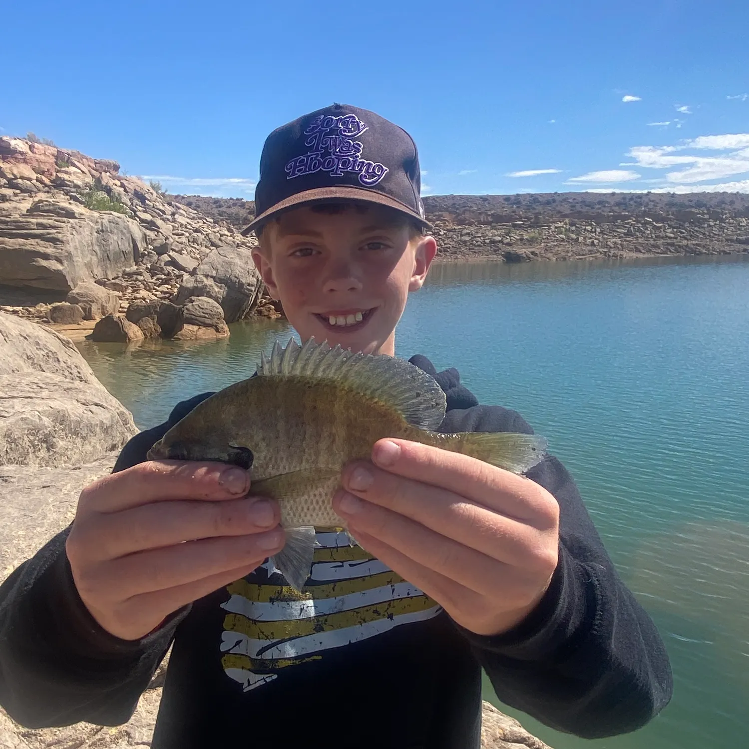 Green sunfish caught on Fishbrain