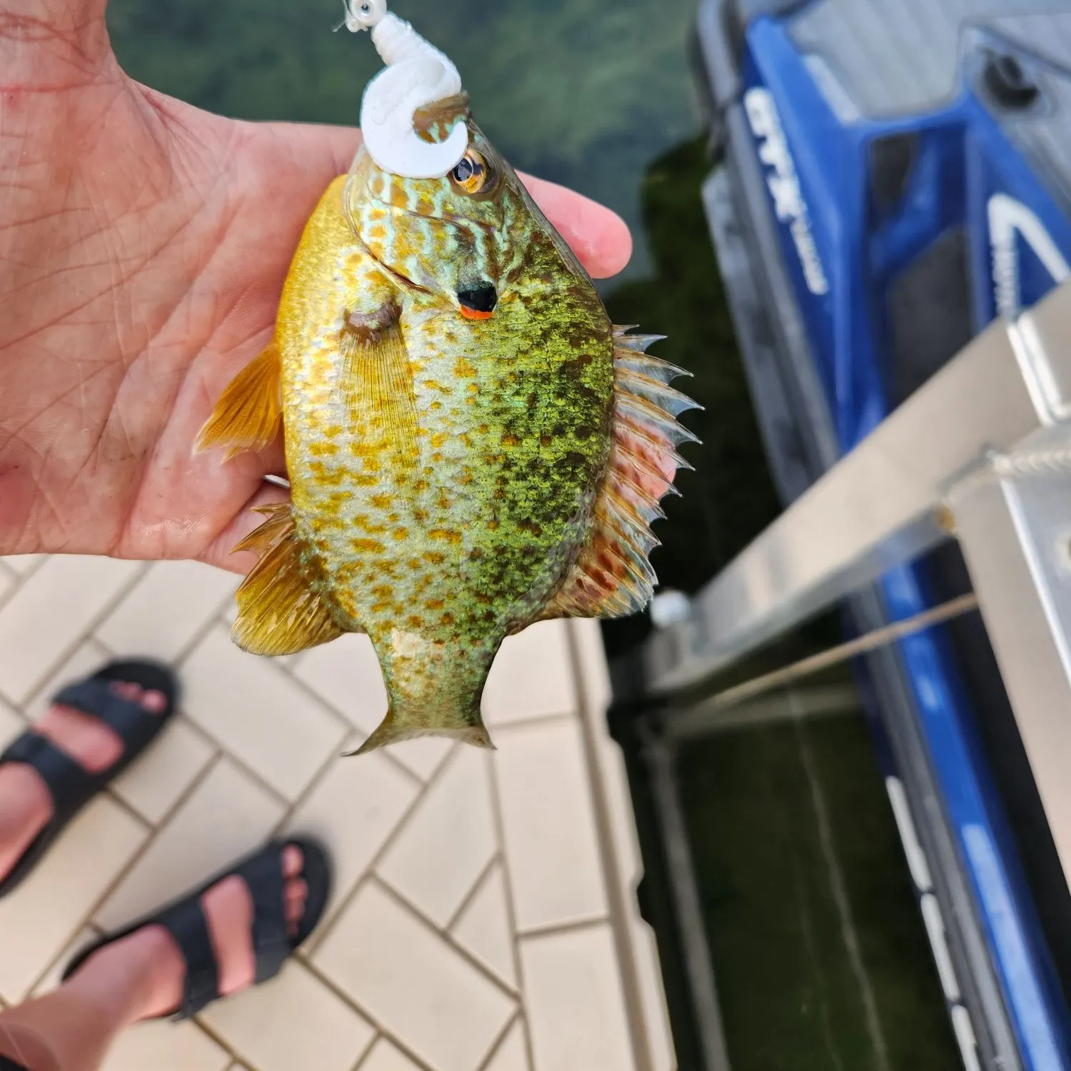 catch