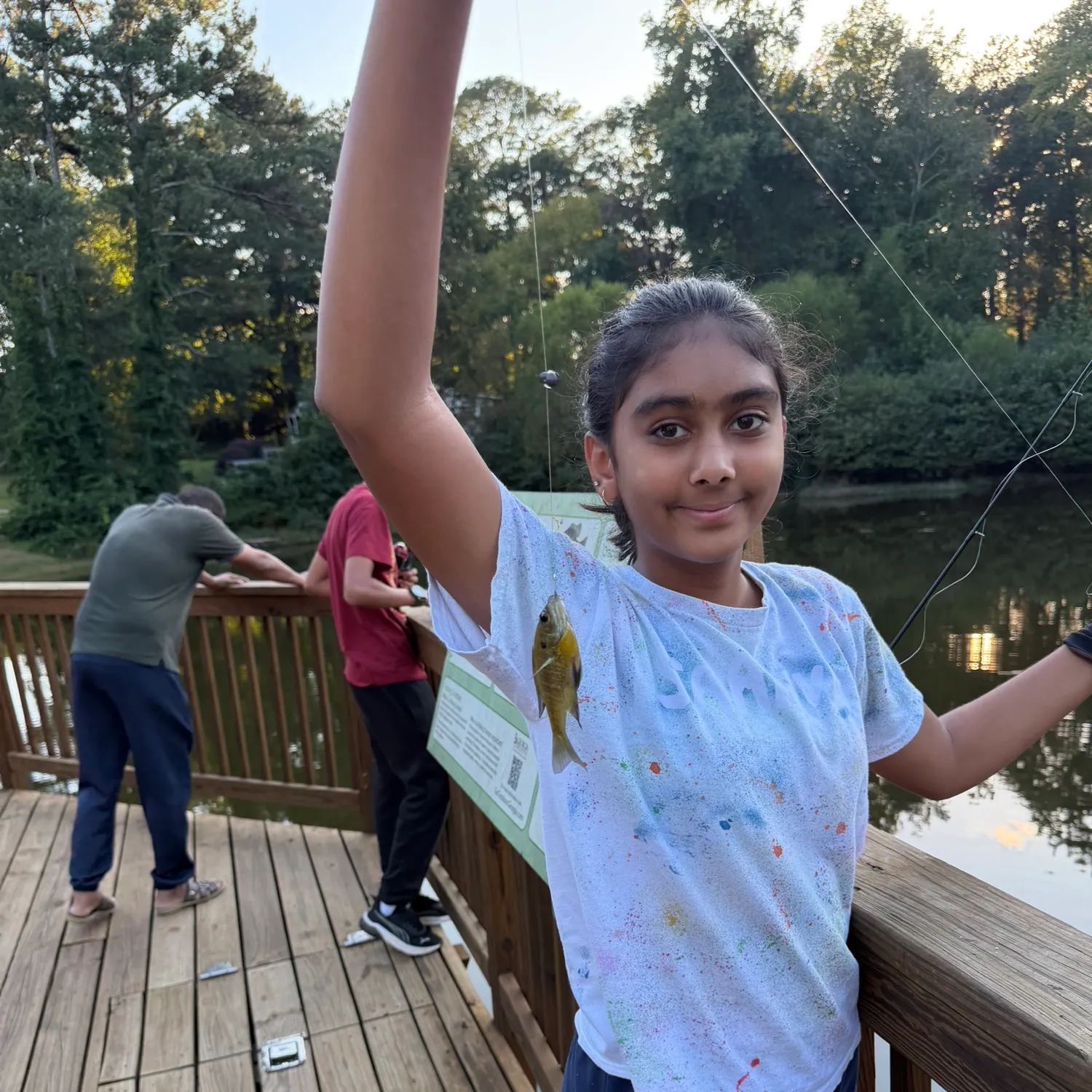 Bluegill caught on Fishbrain