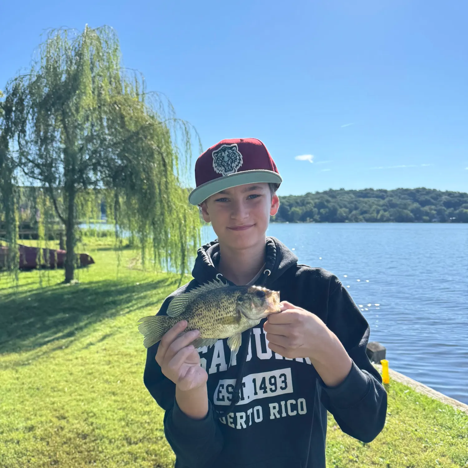 Rock bass caught on Fishbrain
