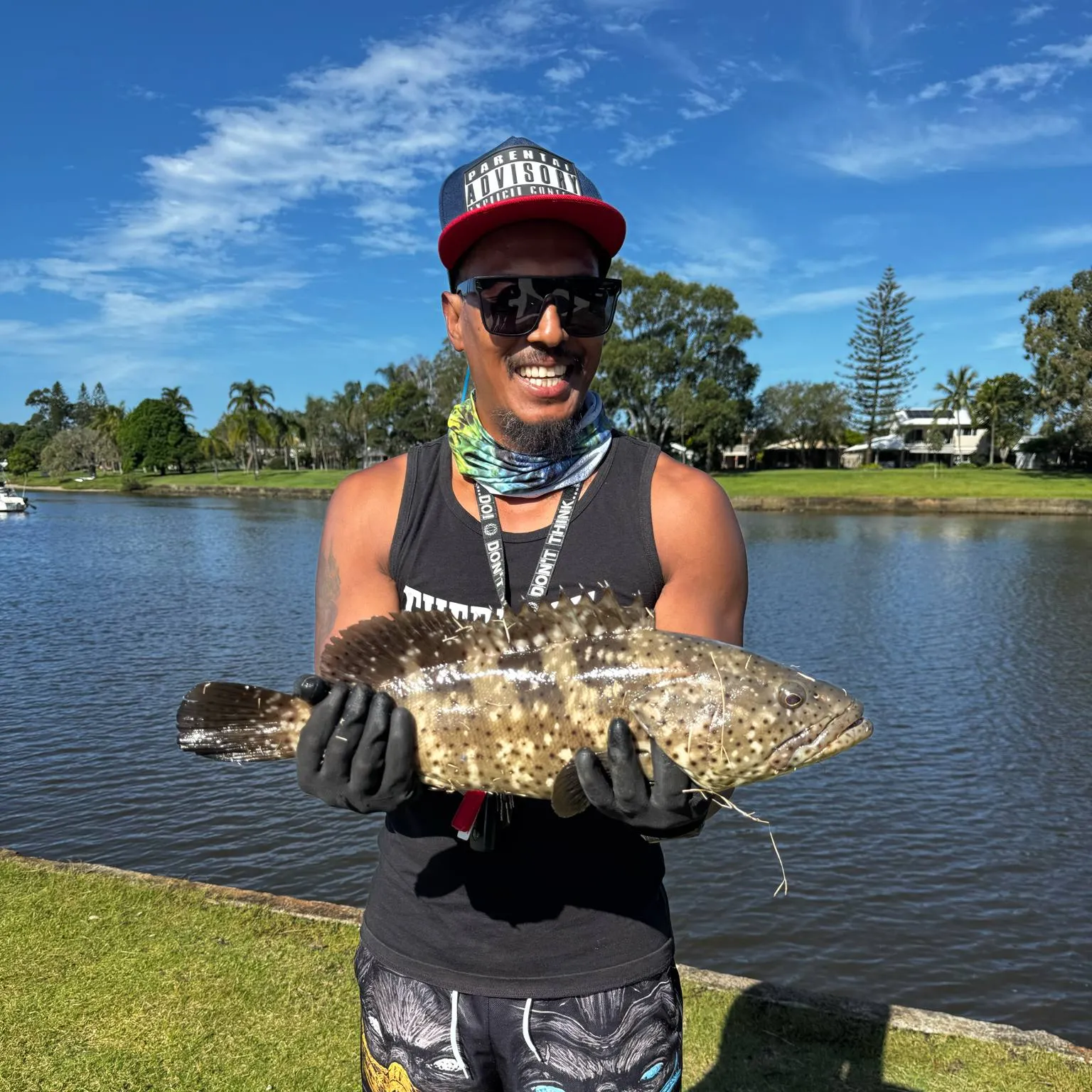 most liked catch image