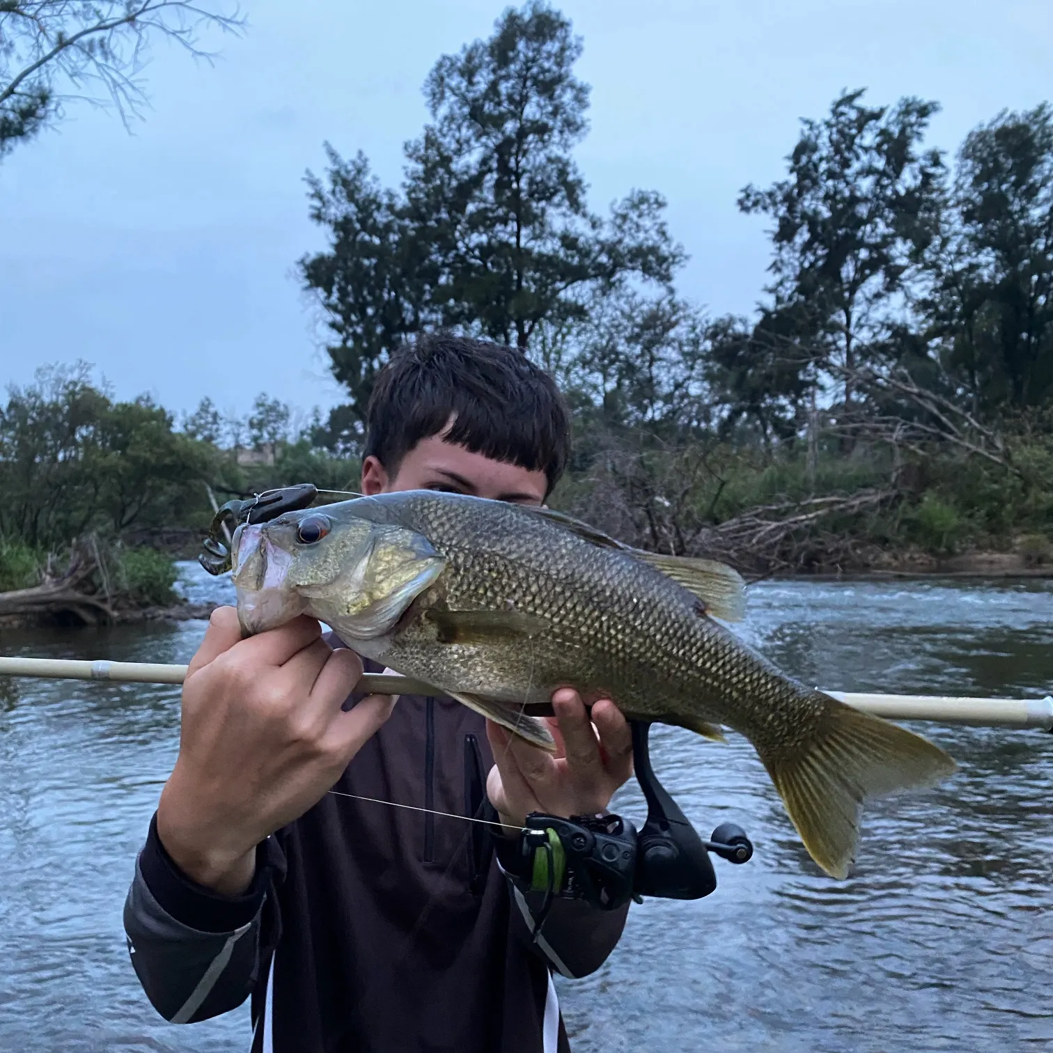 The most recent Australian bass catches on Fishbrain